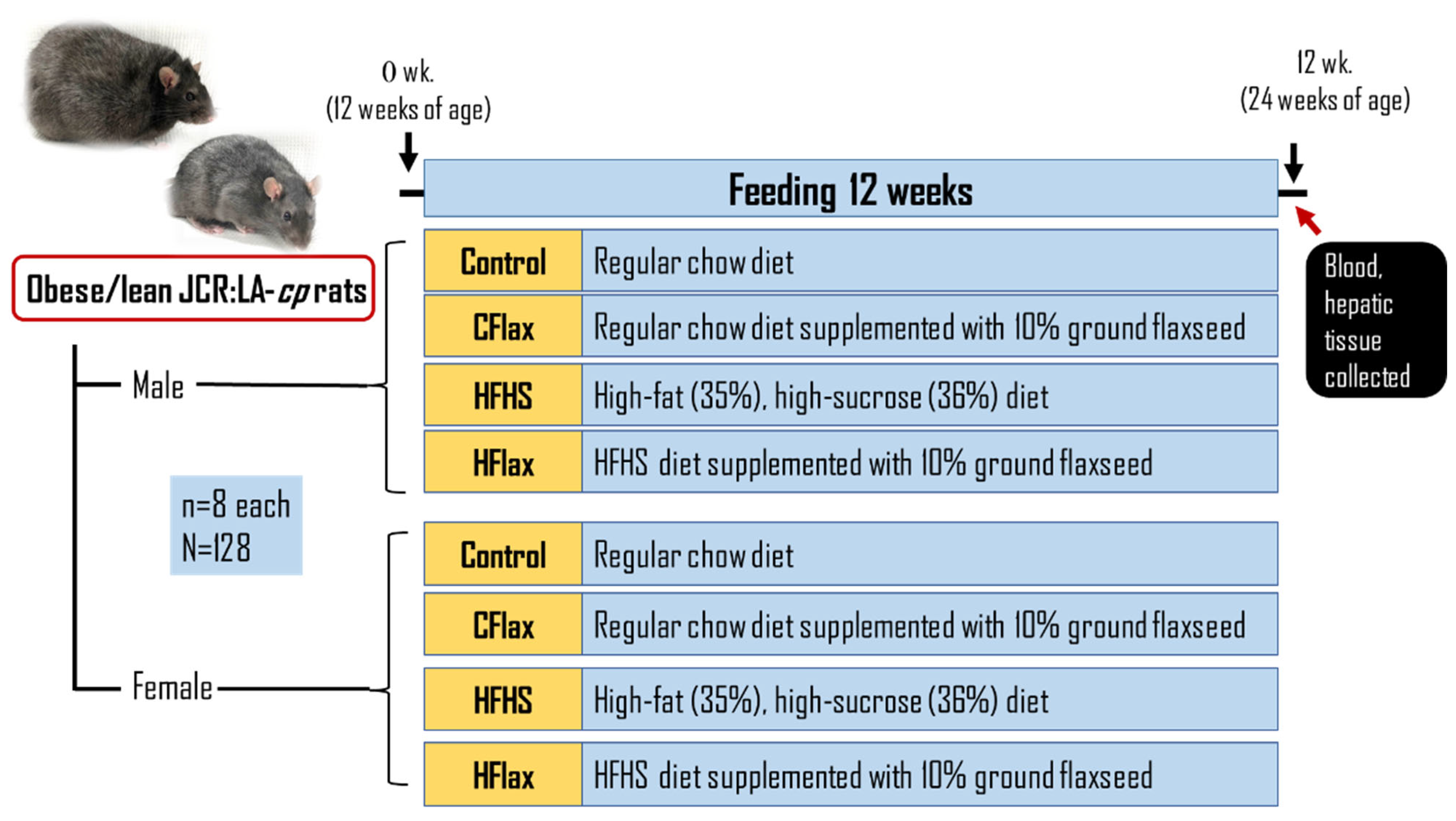 Nutrients 16 00466 g001