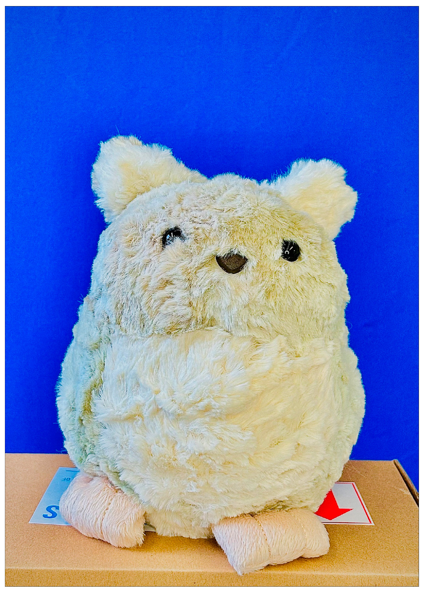 Nutrients 16 00467 g001