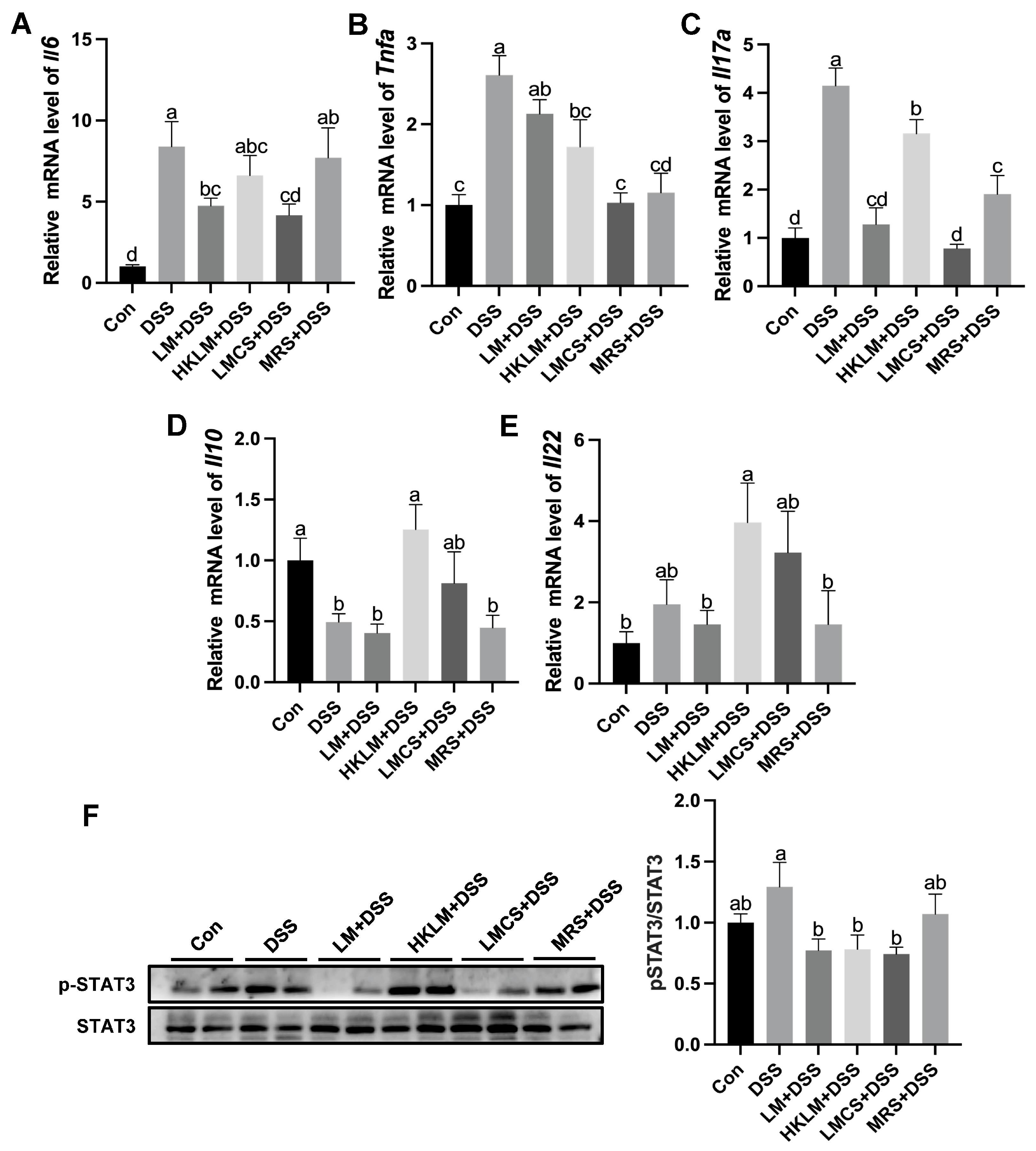 Nutrients 16 00468 g002