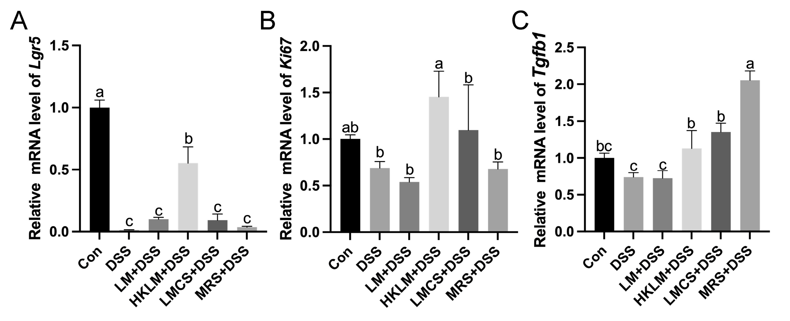 Nutrients 16 00468 g004