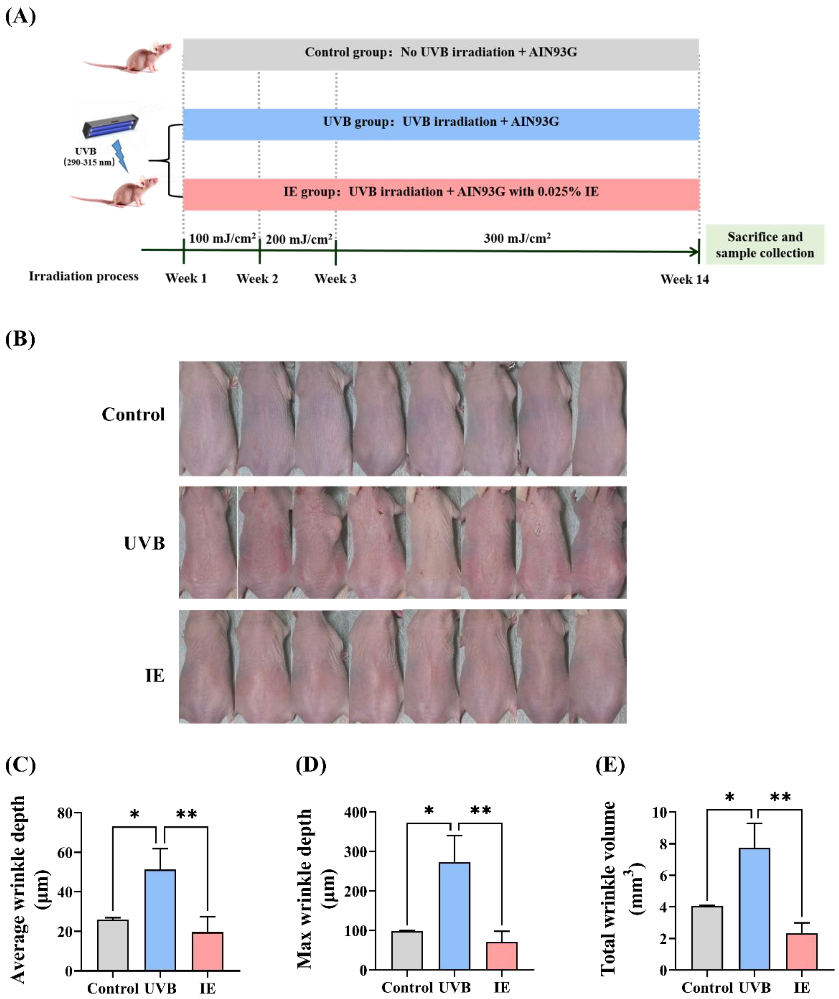 Nutrients 16 00481 g002