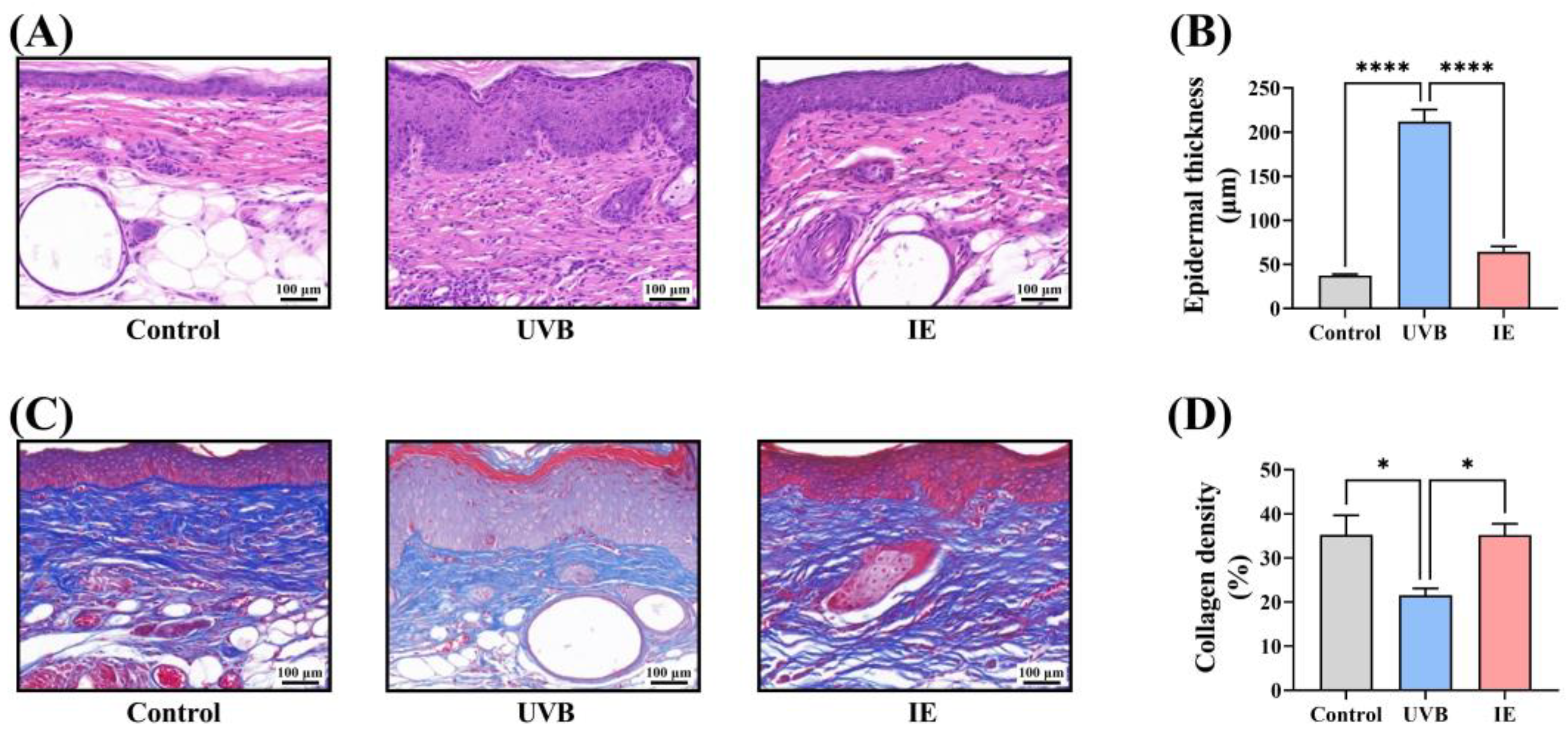 Nutrients 16 00481 g004