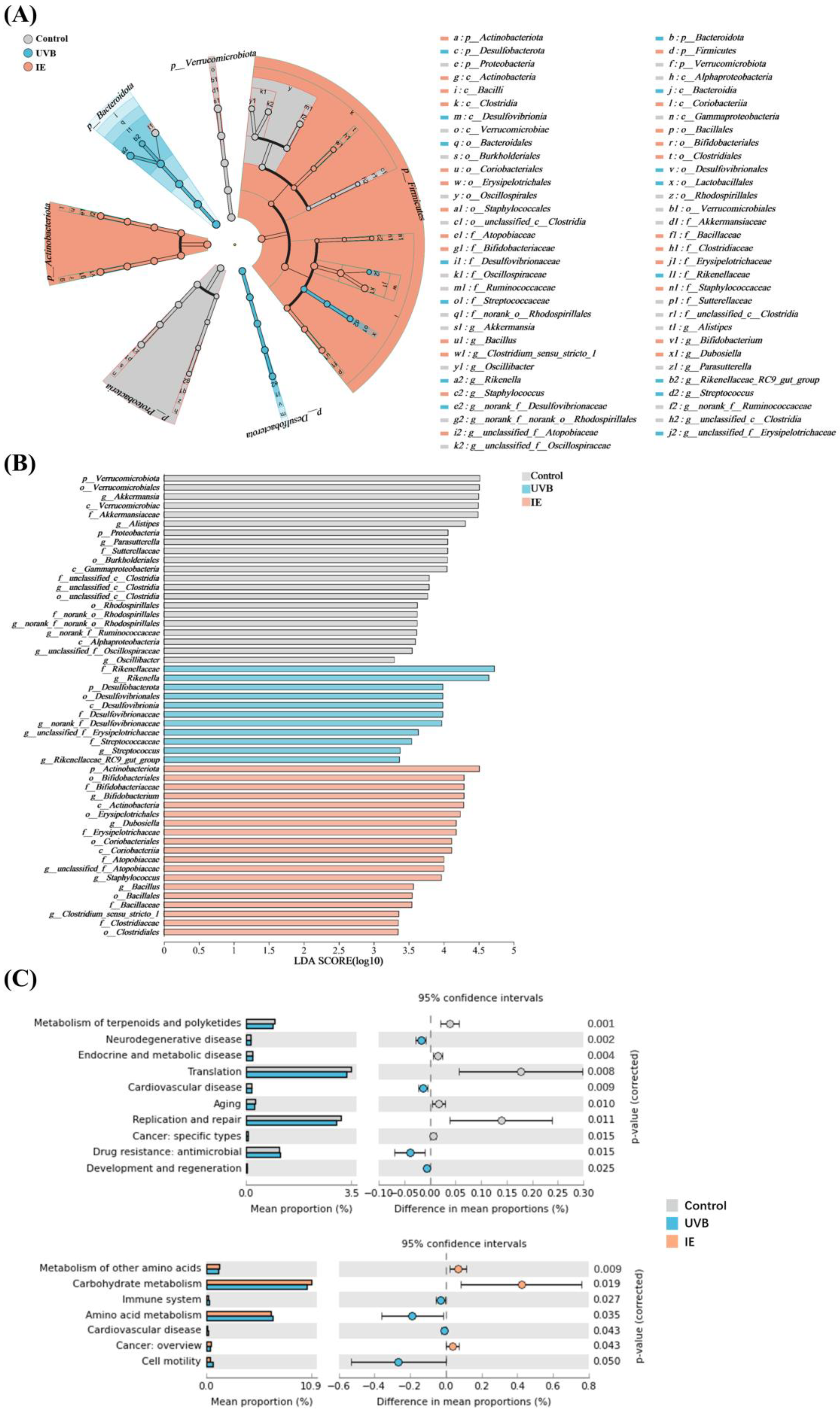 Nutrients 16 00481 g006