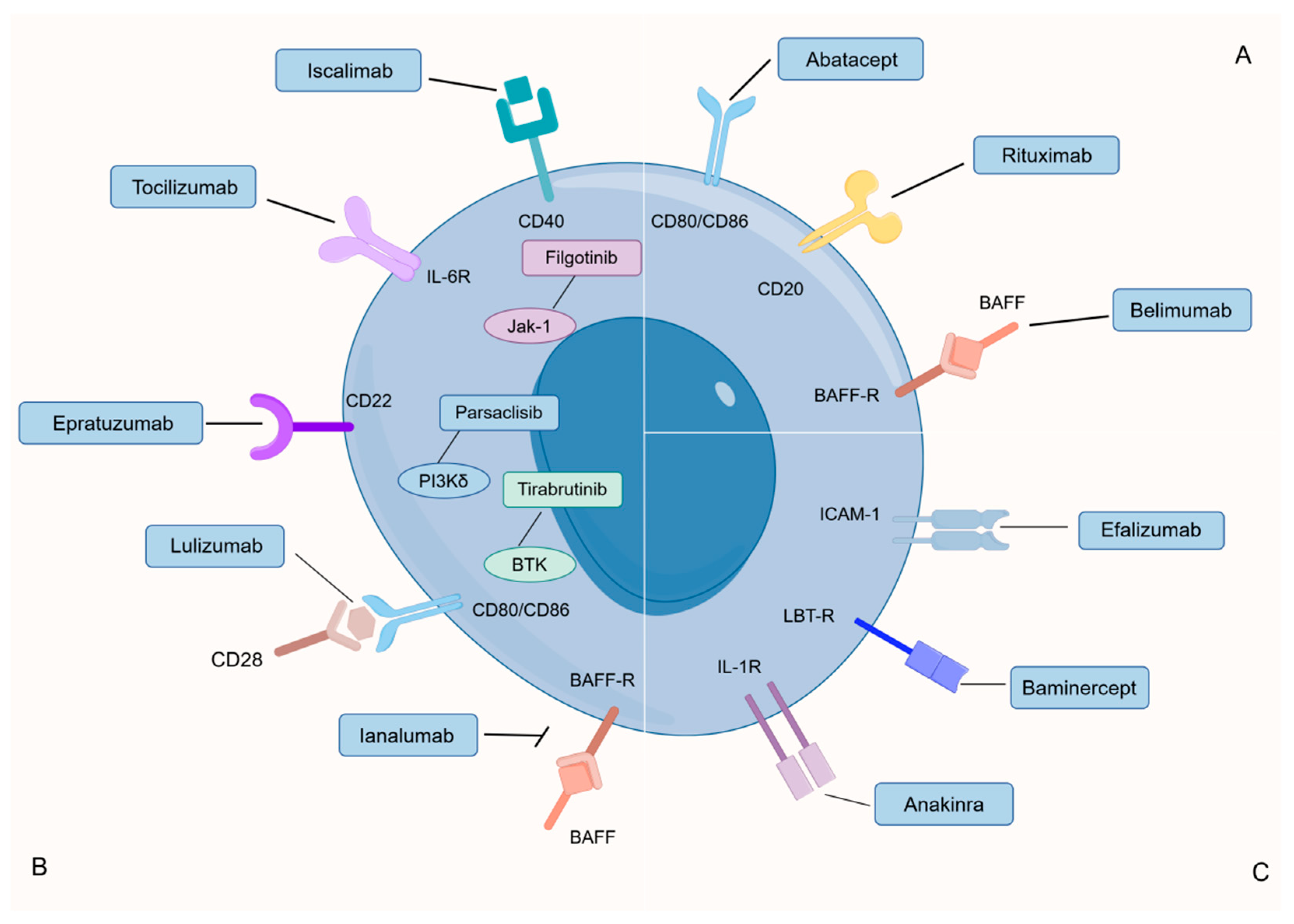 Nutrients 16 00487 g002