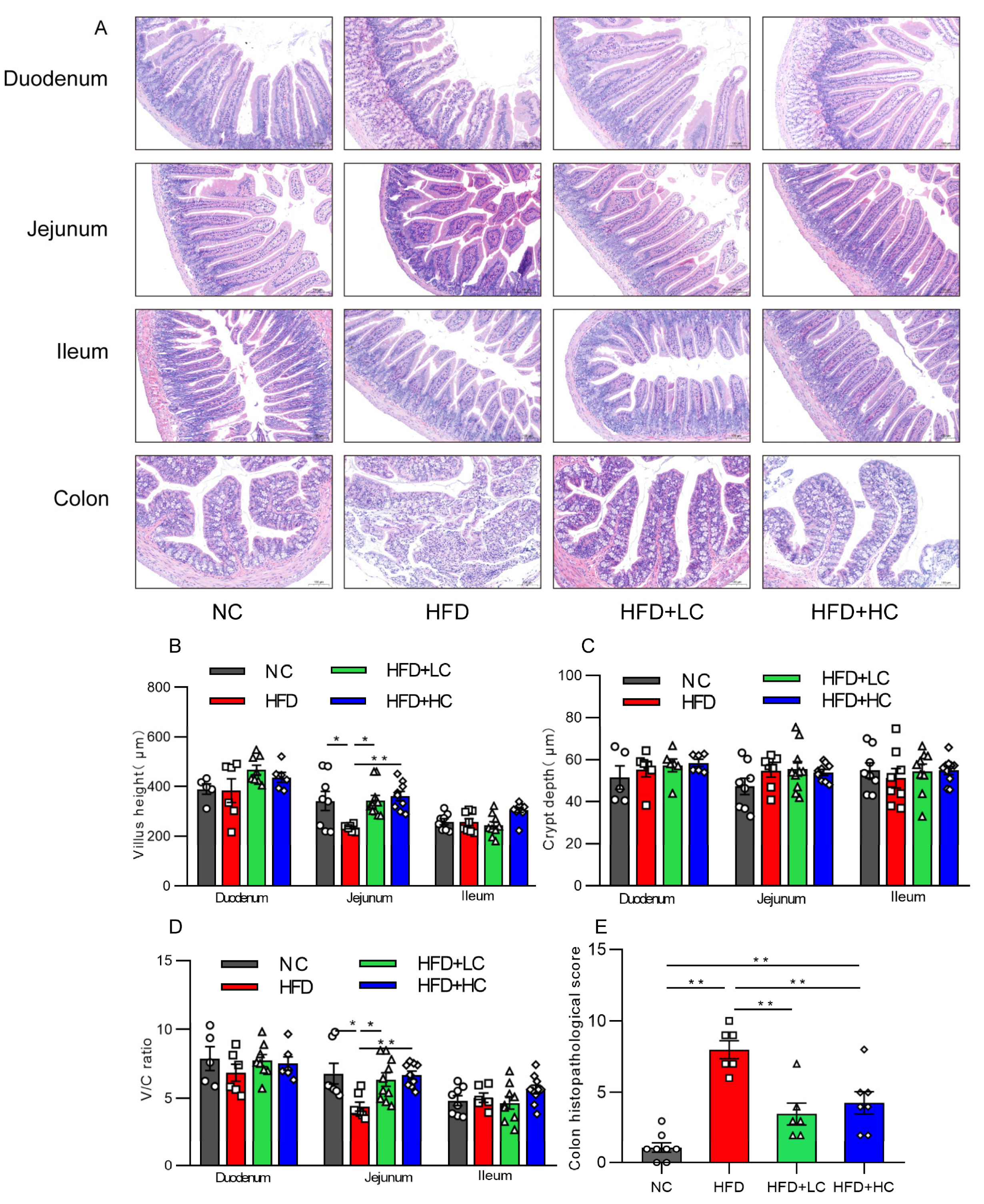 Nutrients 16 00493 g007
