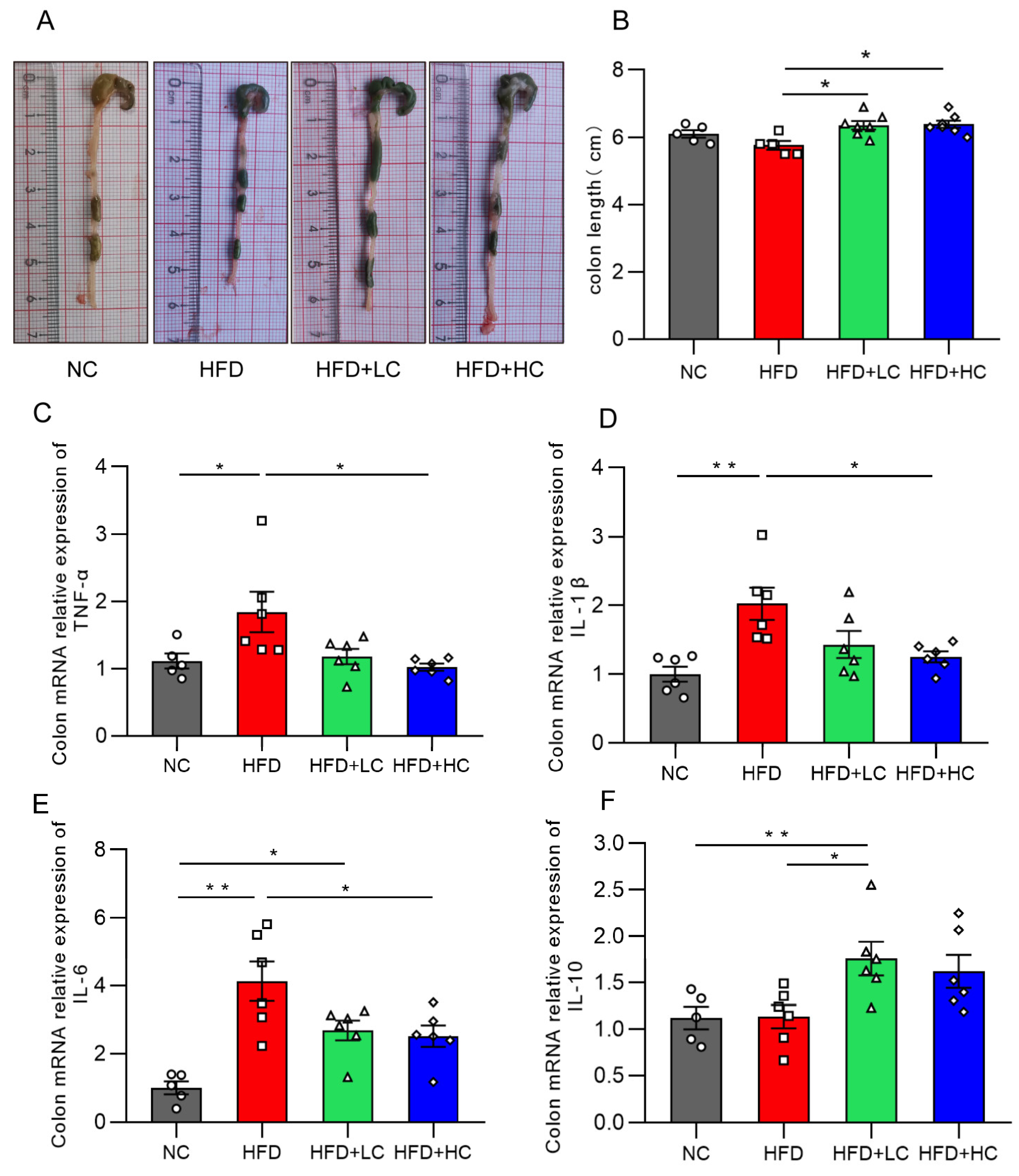 Nutrients 16 00493 g008