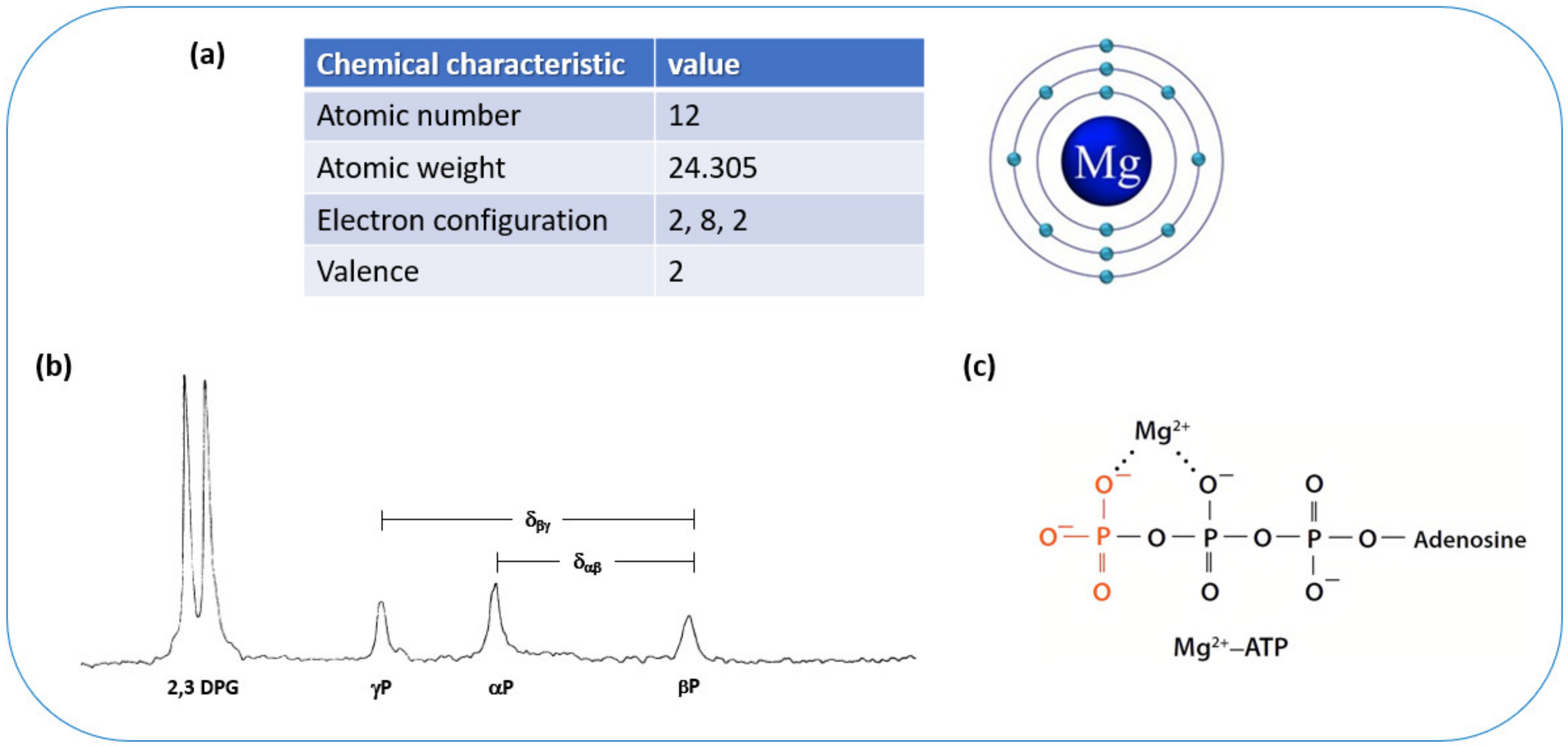 Nutrients 16 00496 g001