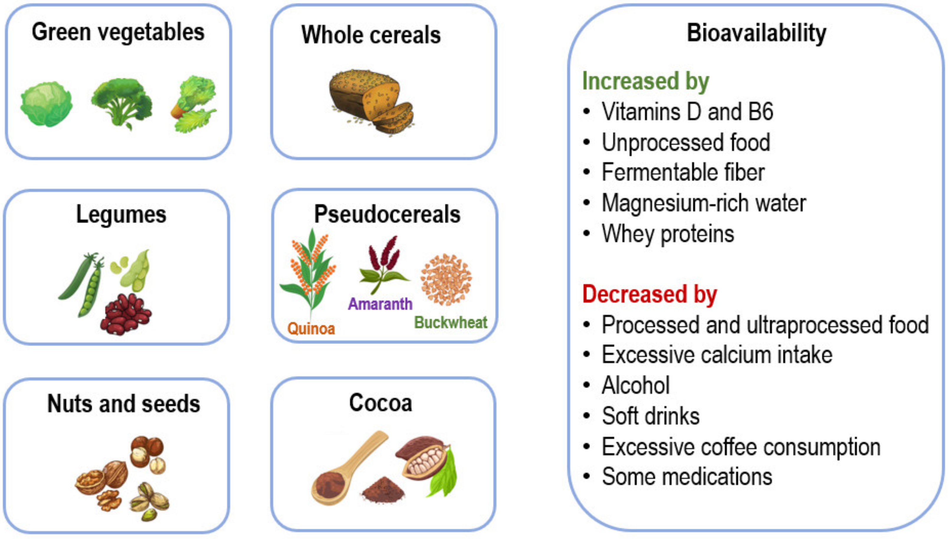 Nutrients 16 00496 g003