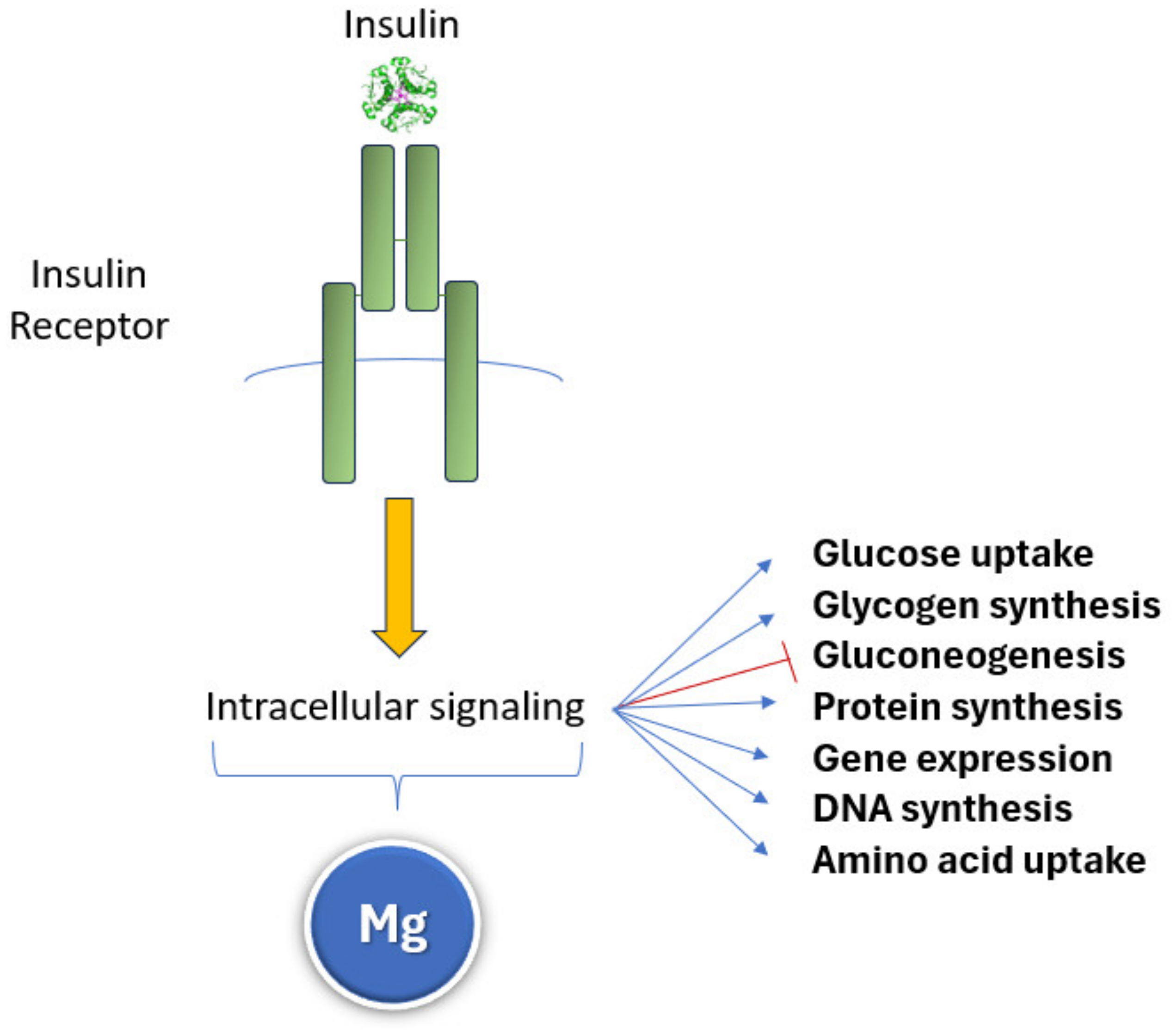 Nutrients 16 00496 g006