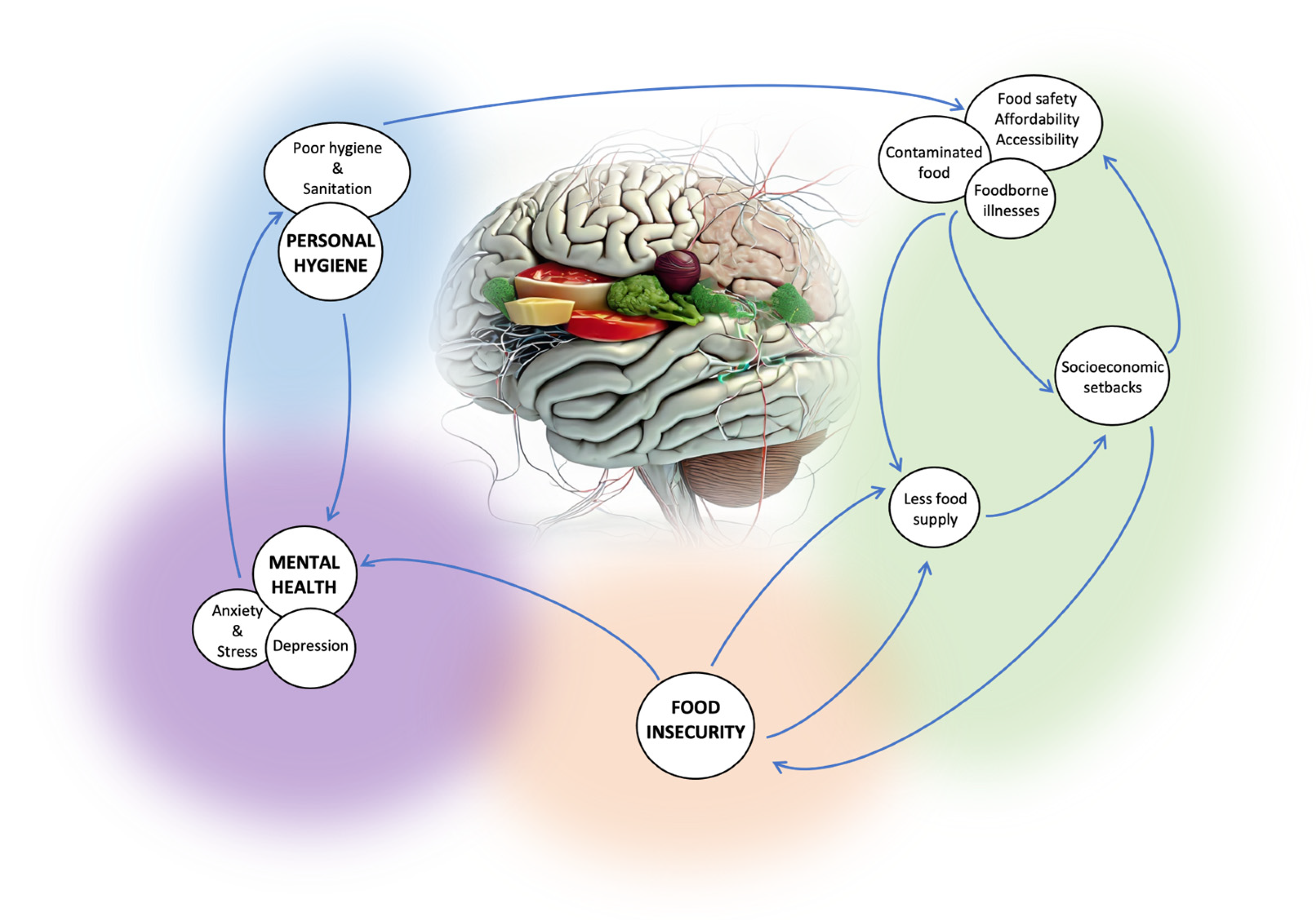 Nutrients 16 00501 g001