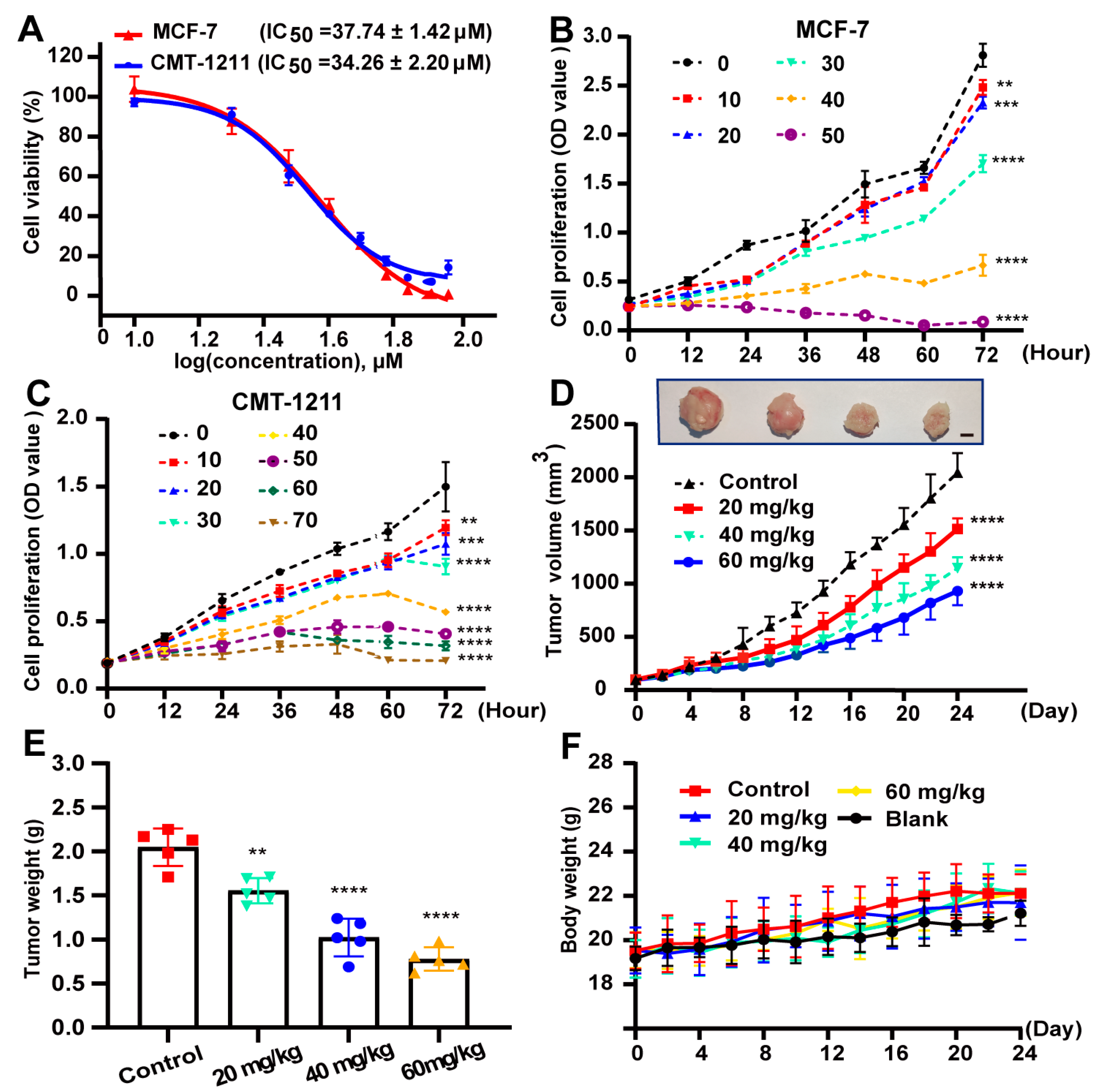 Nutrients 16 00514 g001