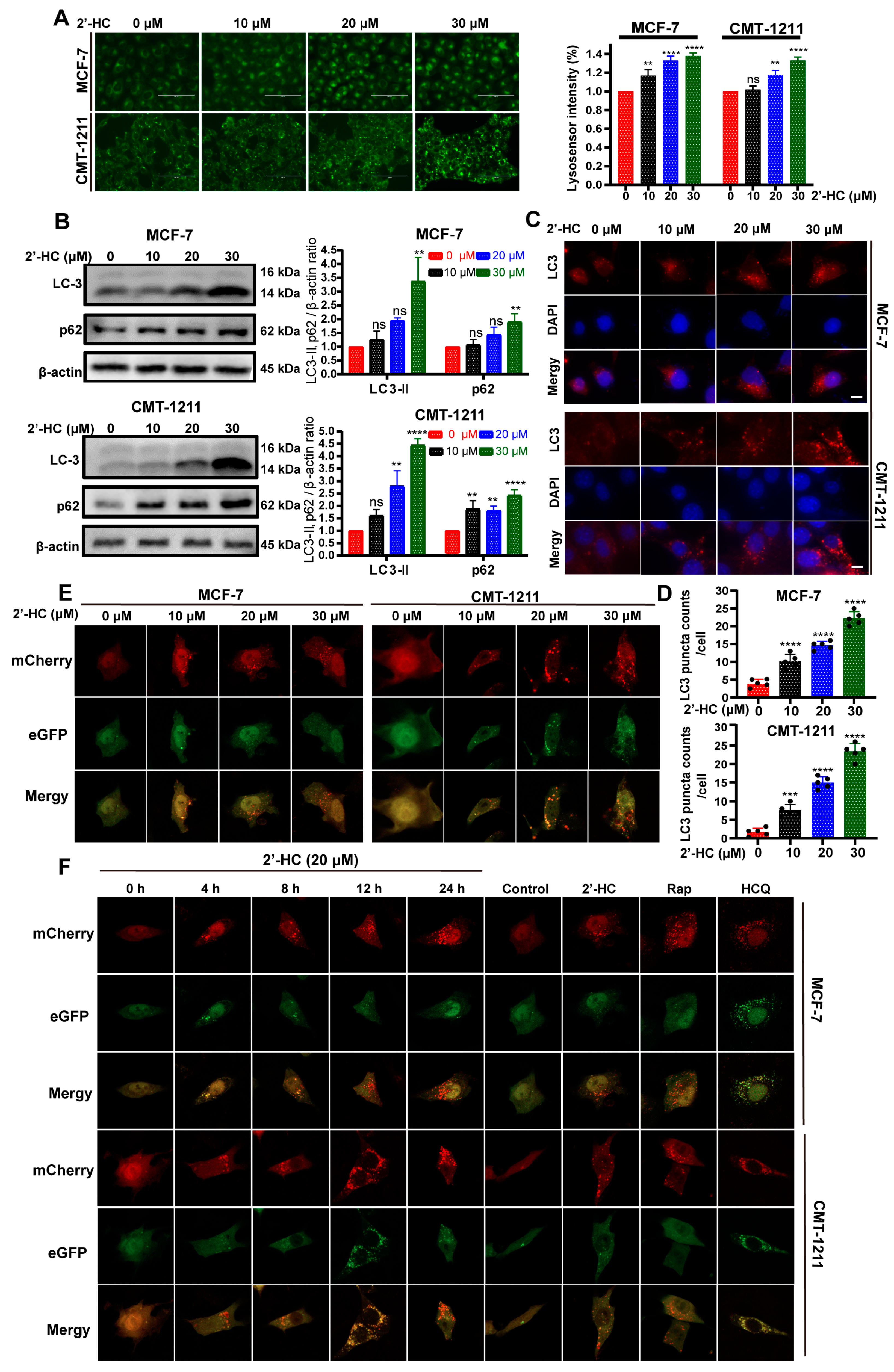 Nutrients 16 00514 g002