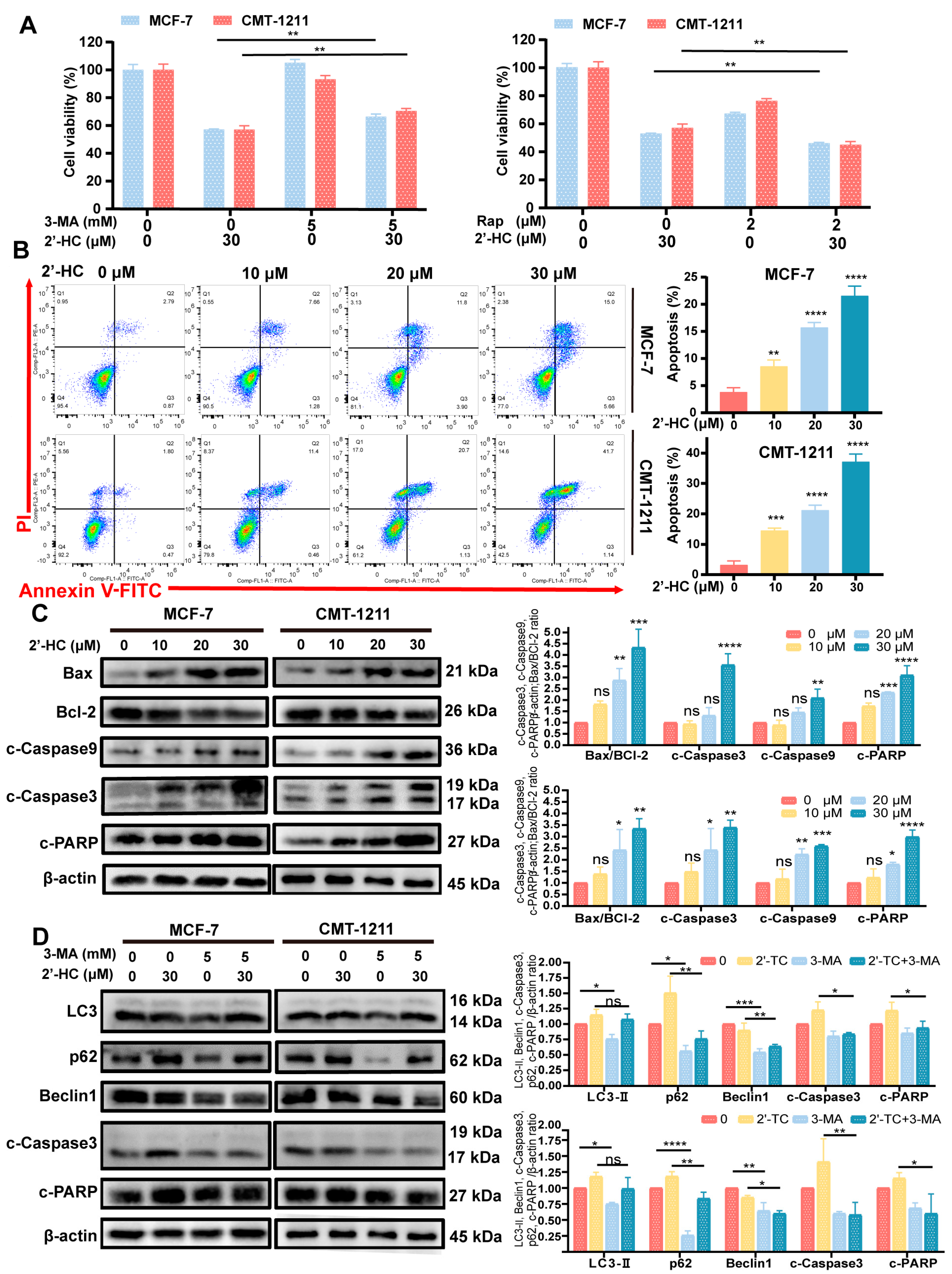Nutrients 16 00514 g003