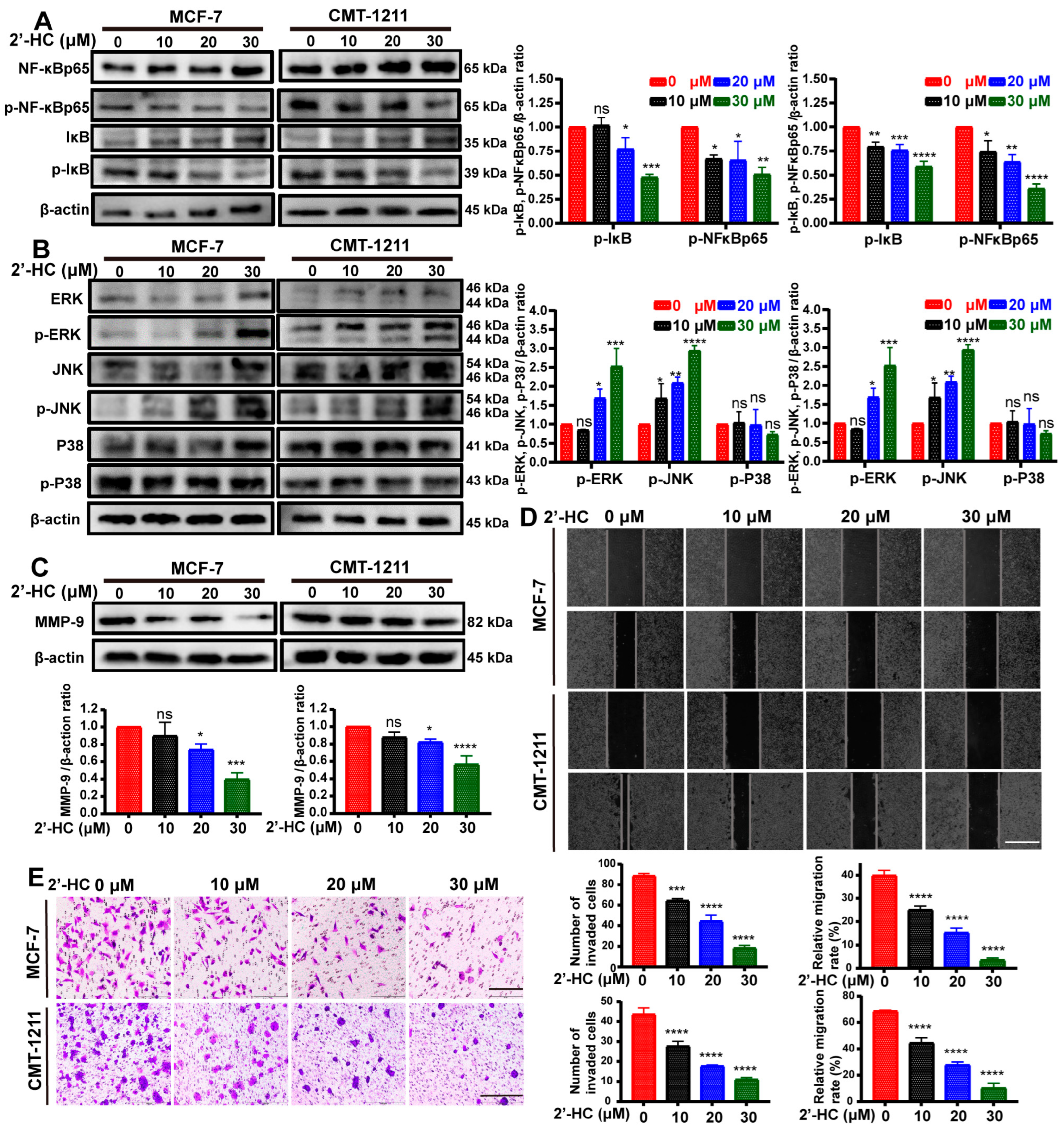 Nutrients 16 00514 g005