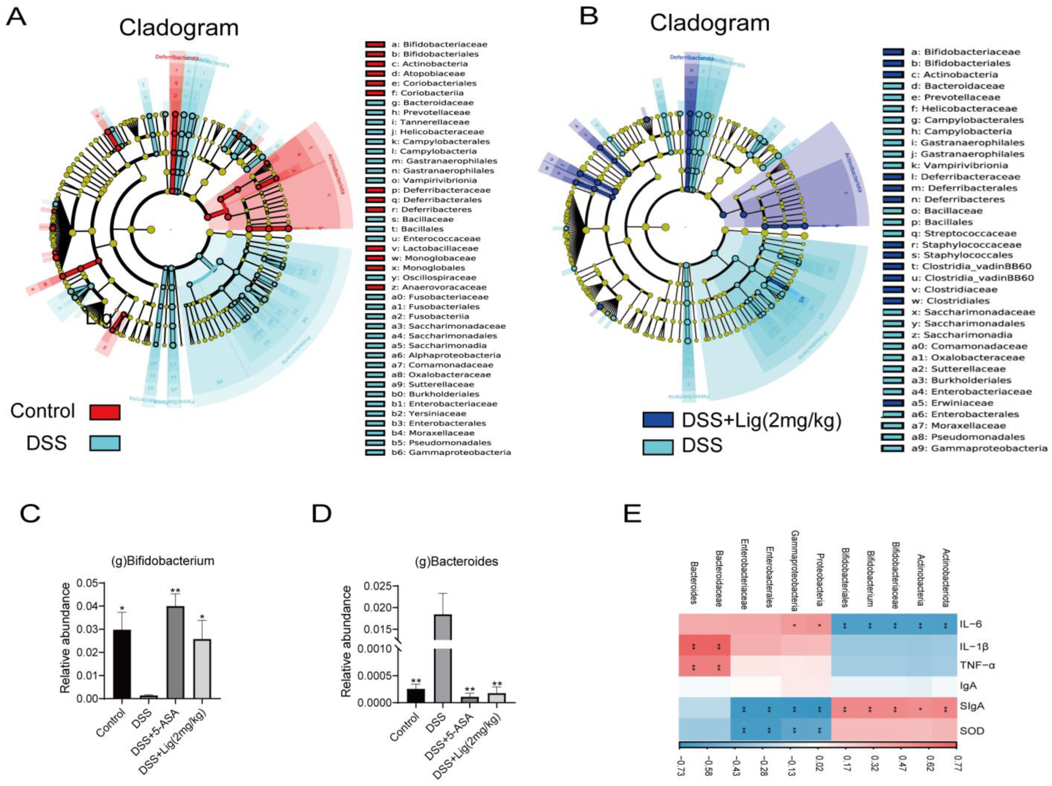 Nutrients 16 00522 g005