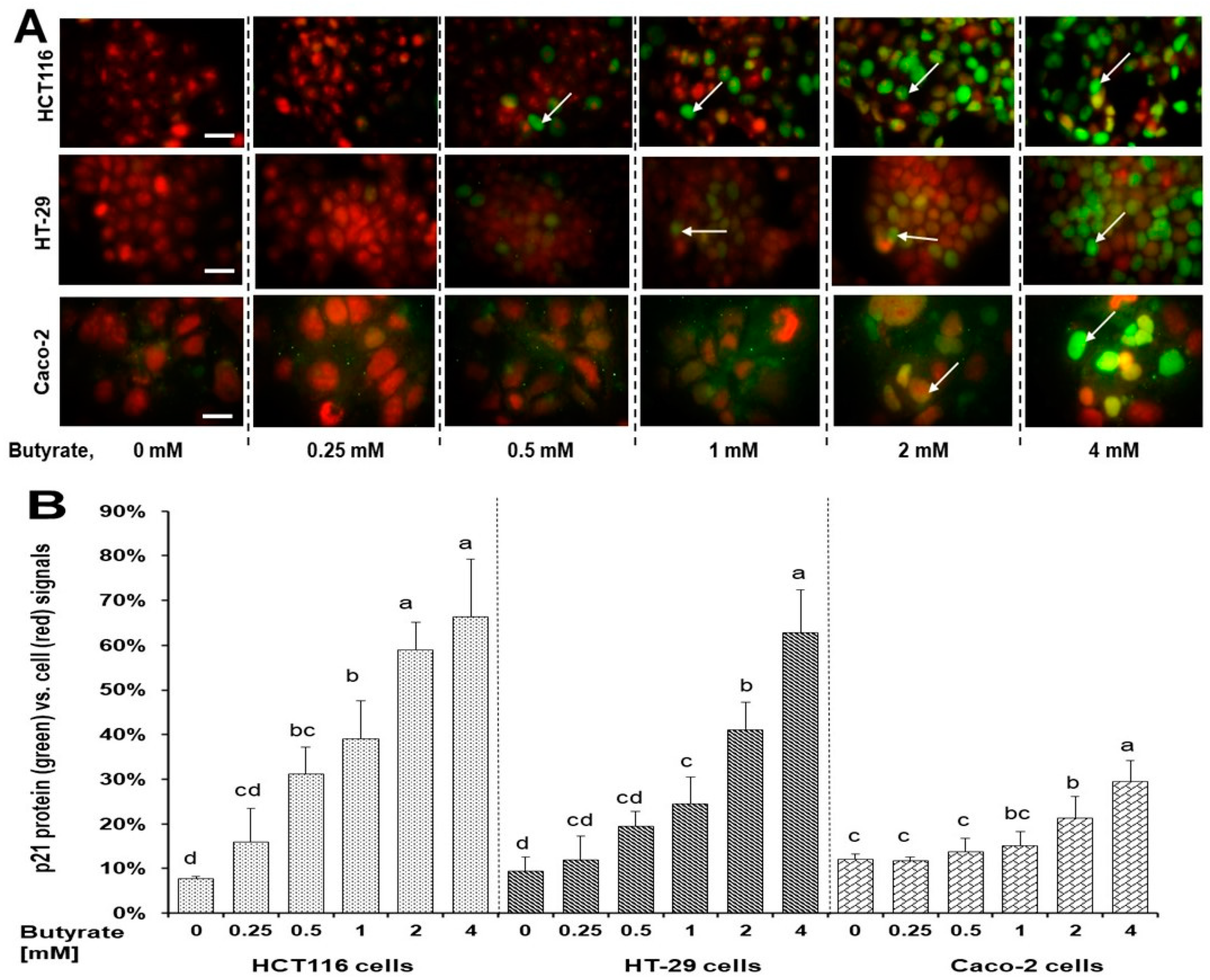 Nutrients 16 00529 g004