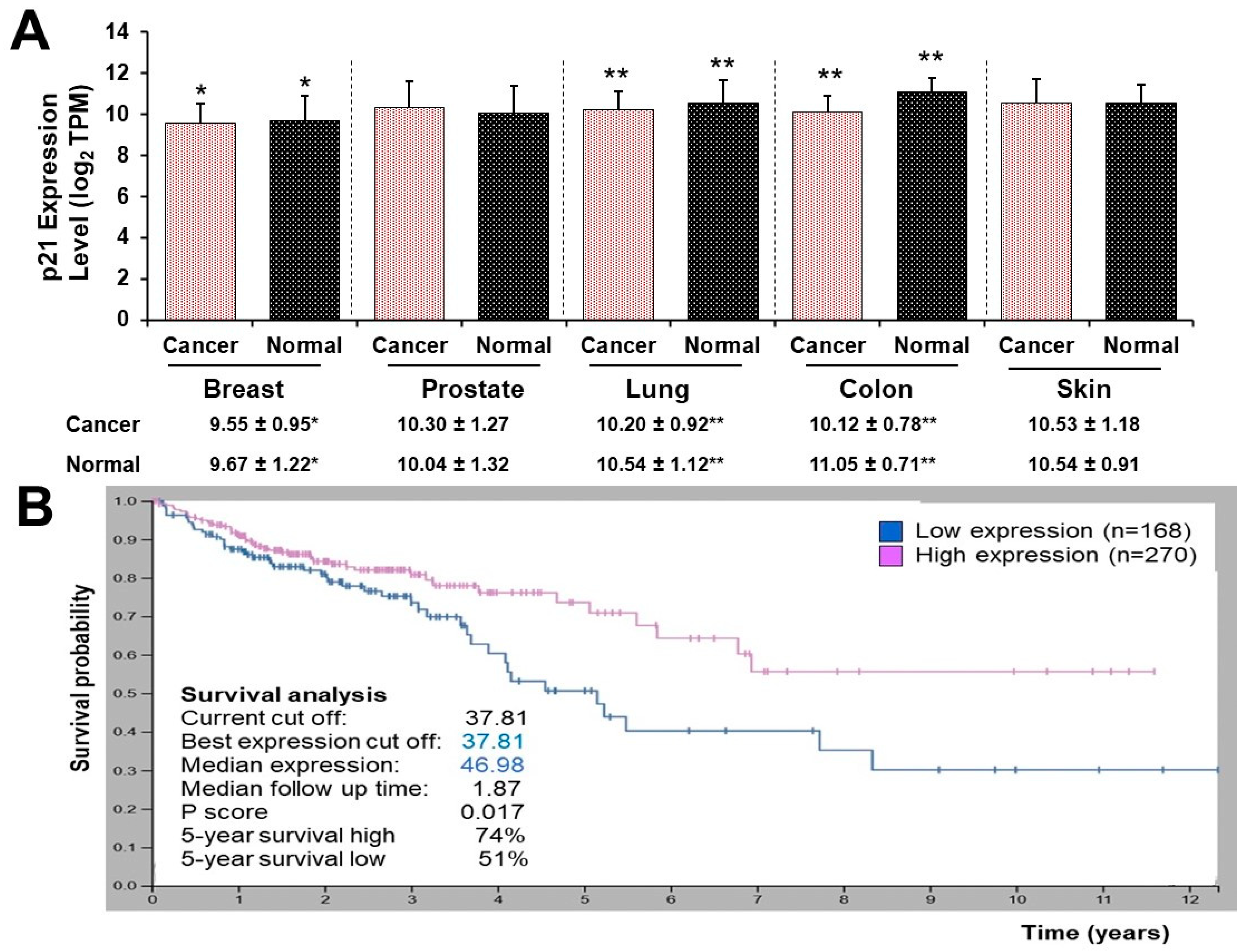 Nutrients 16 00529 g005