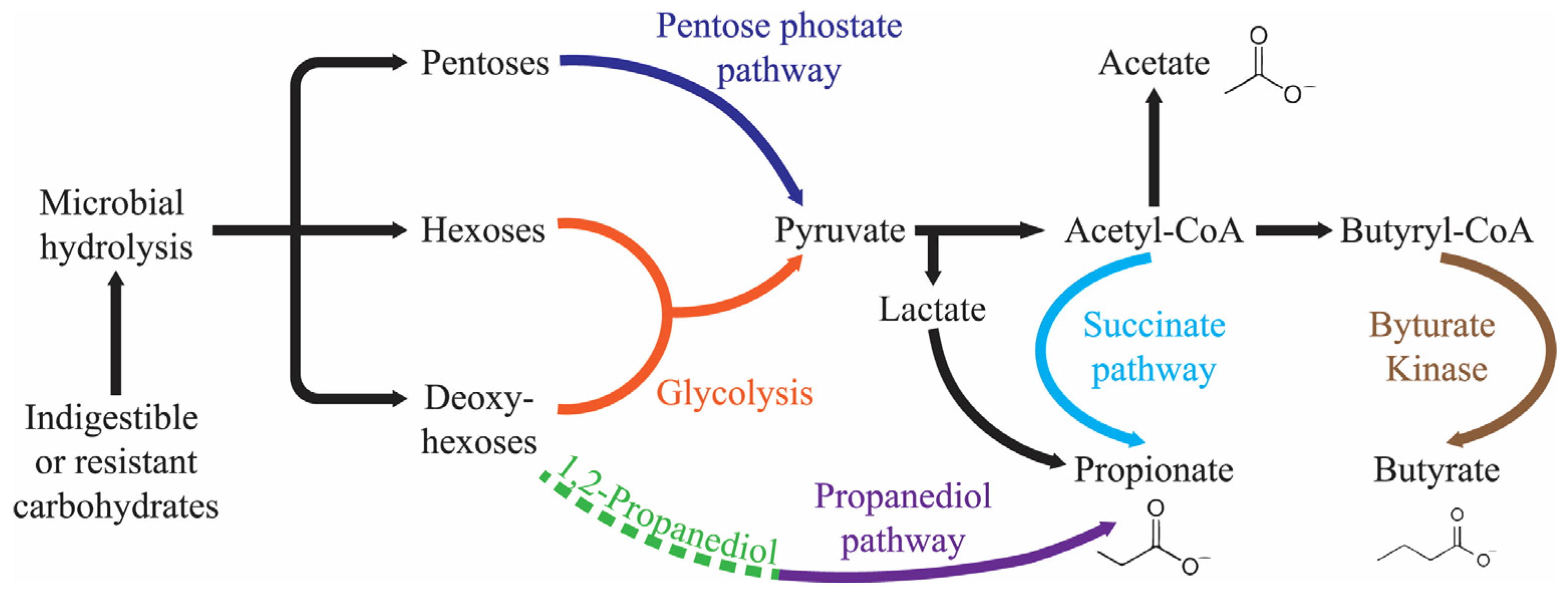 Nutrients 16 00546 g001