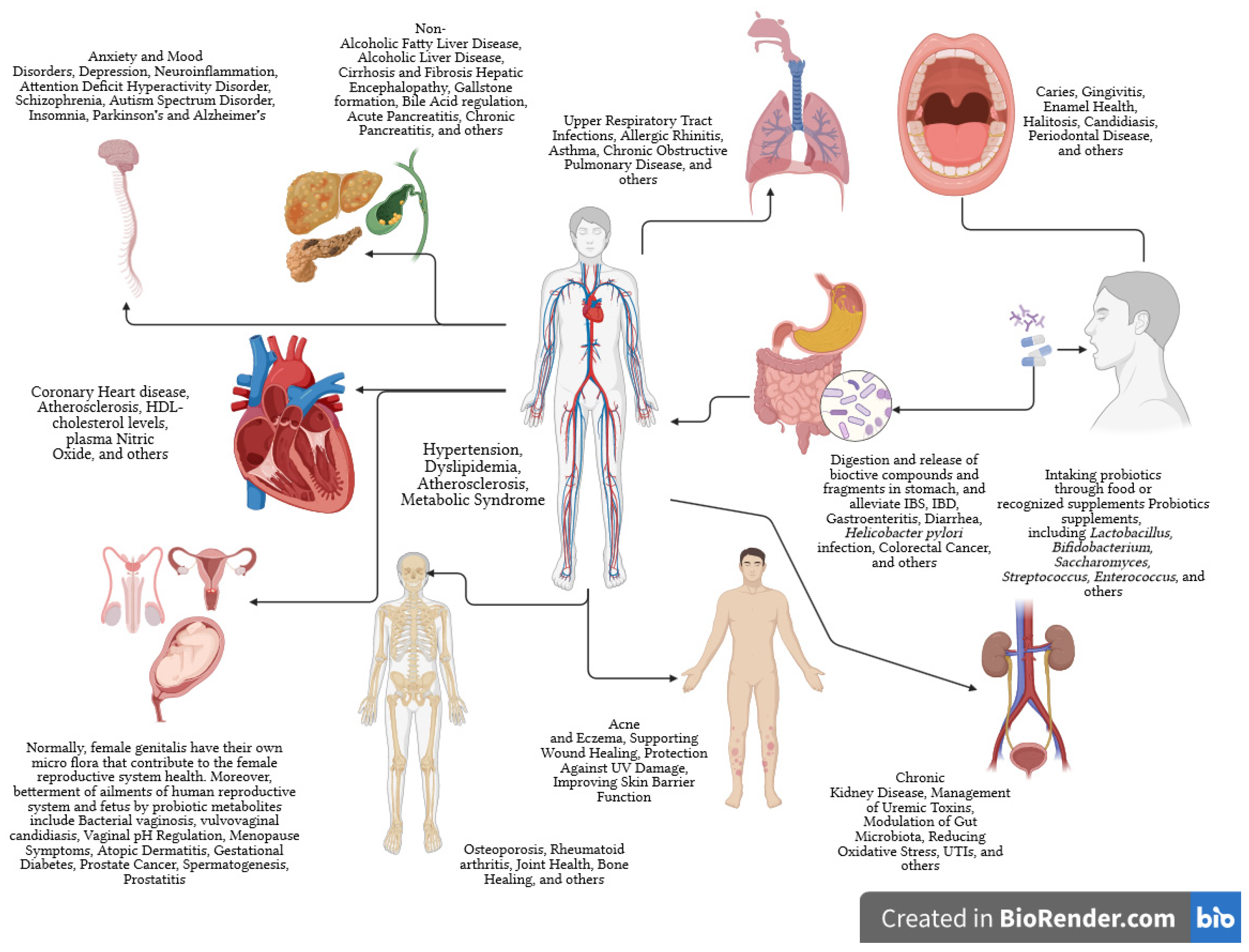 Nutrients 16 00546 g002