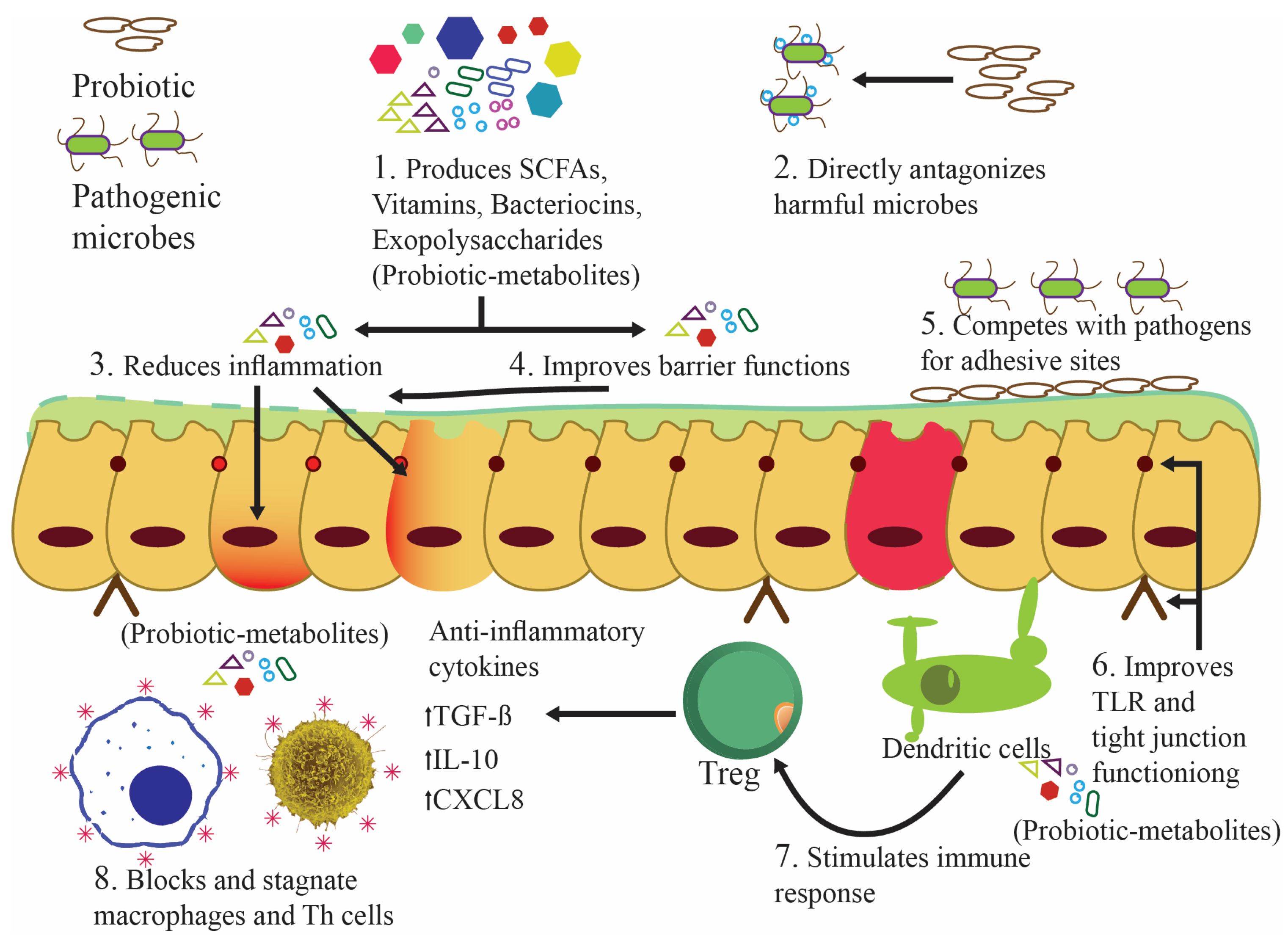 Nutrients 16 00546 g004