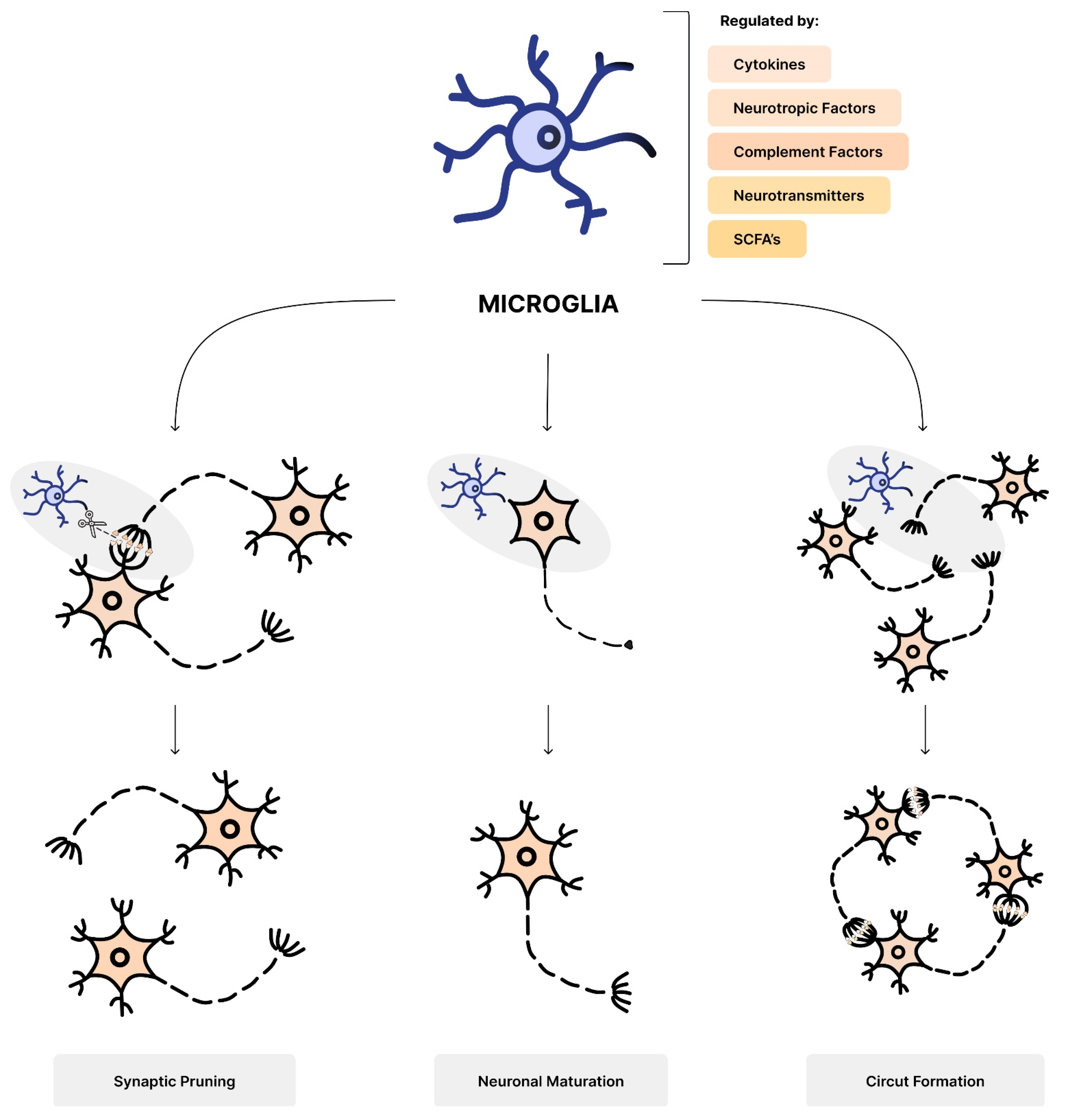 Nutrients 16 00549 g002