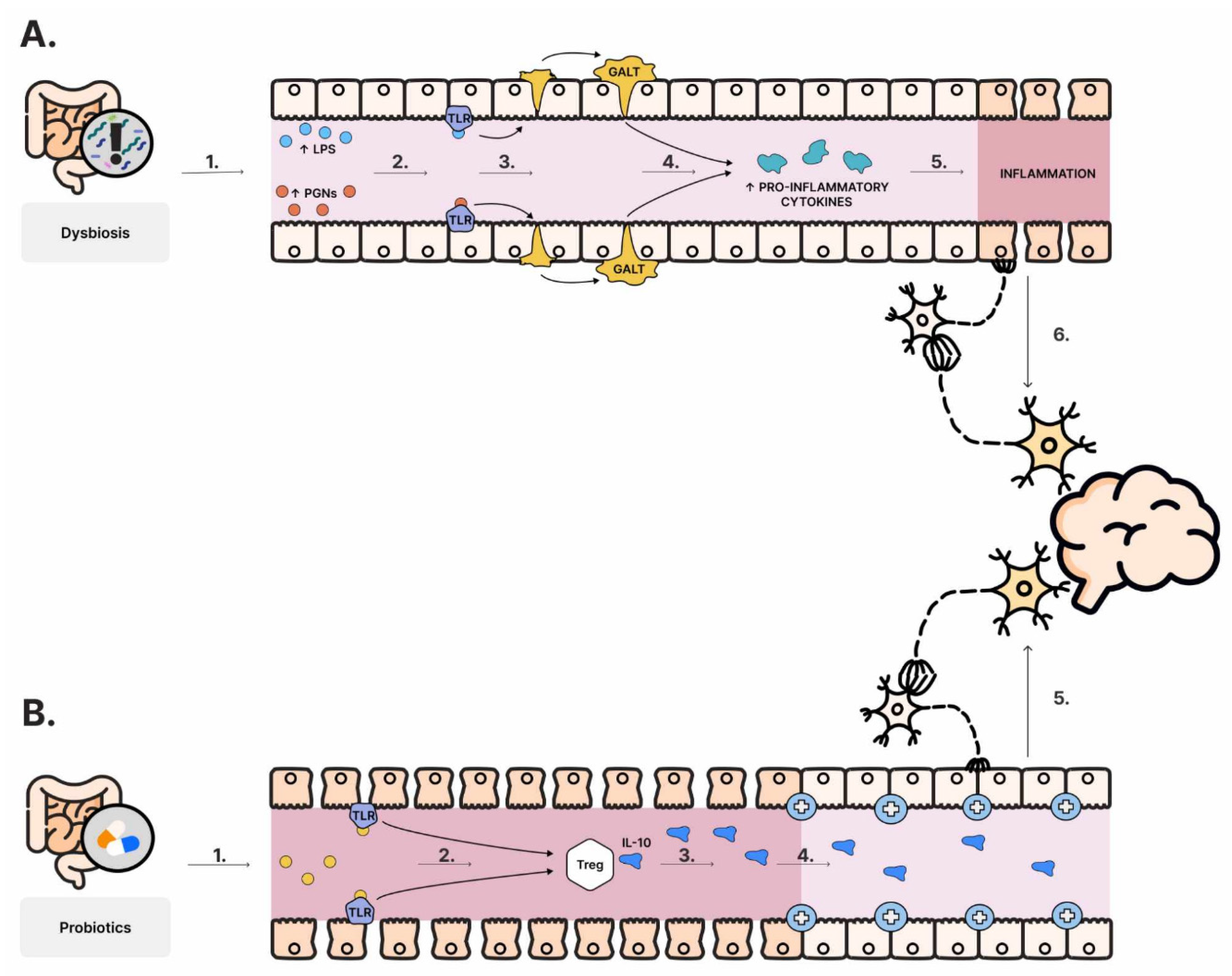 Nutrients 16 00549 g003
