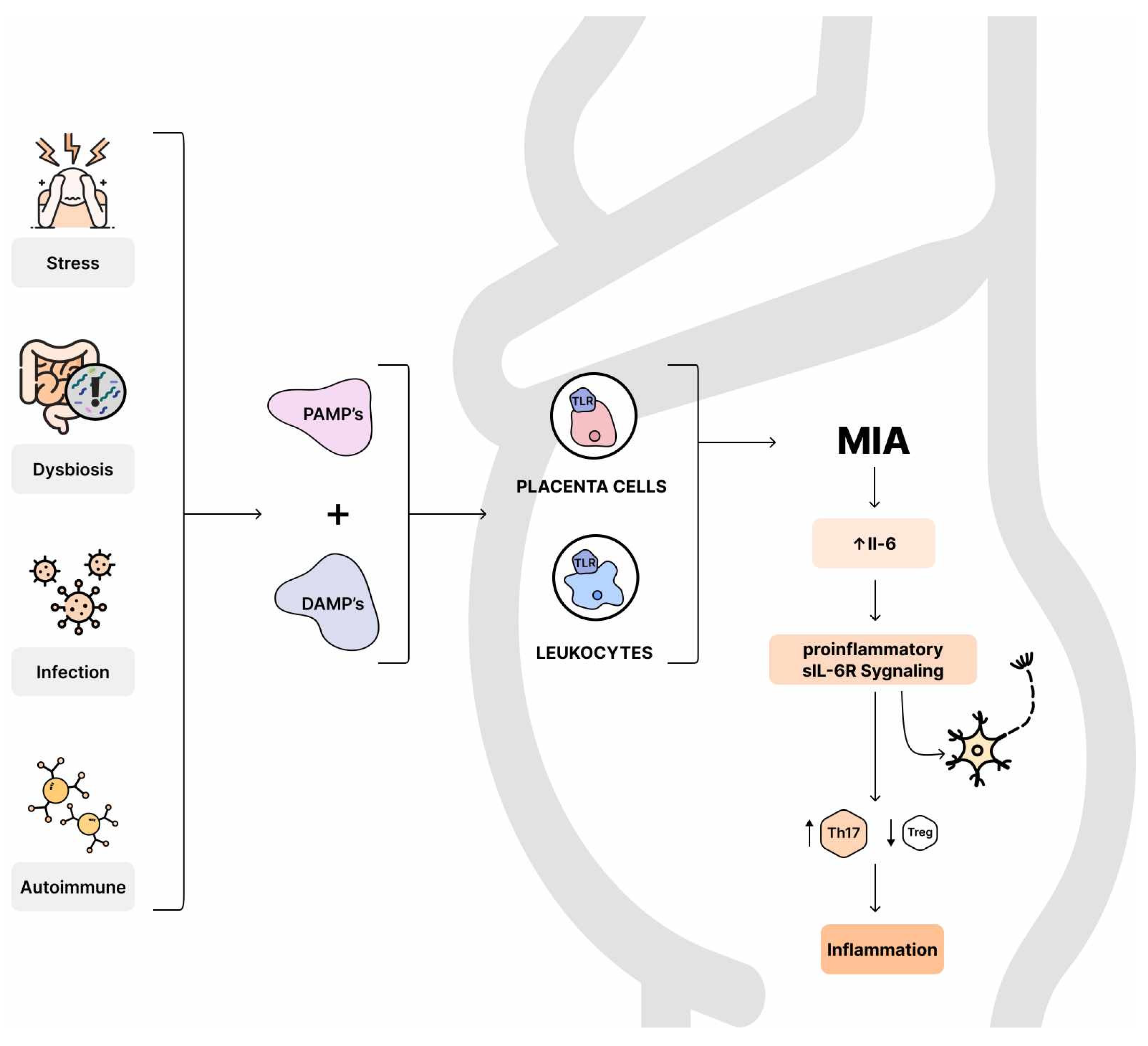 Nutrients 16 00549 g004