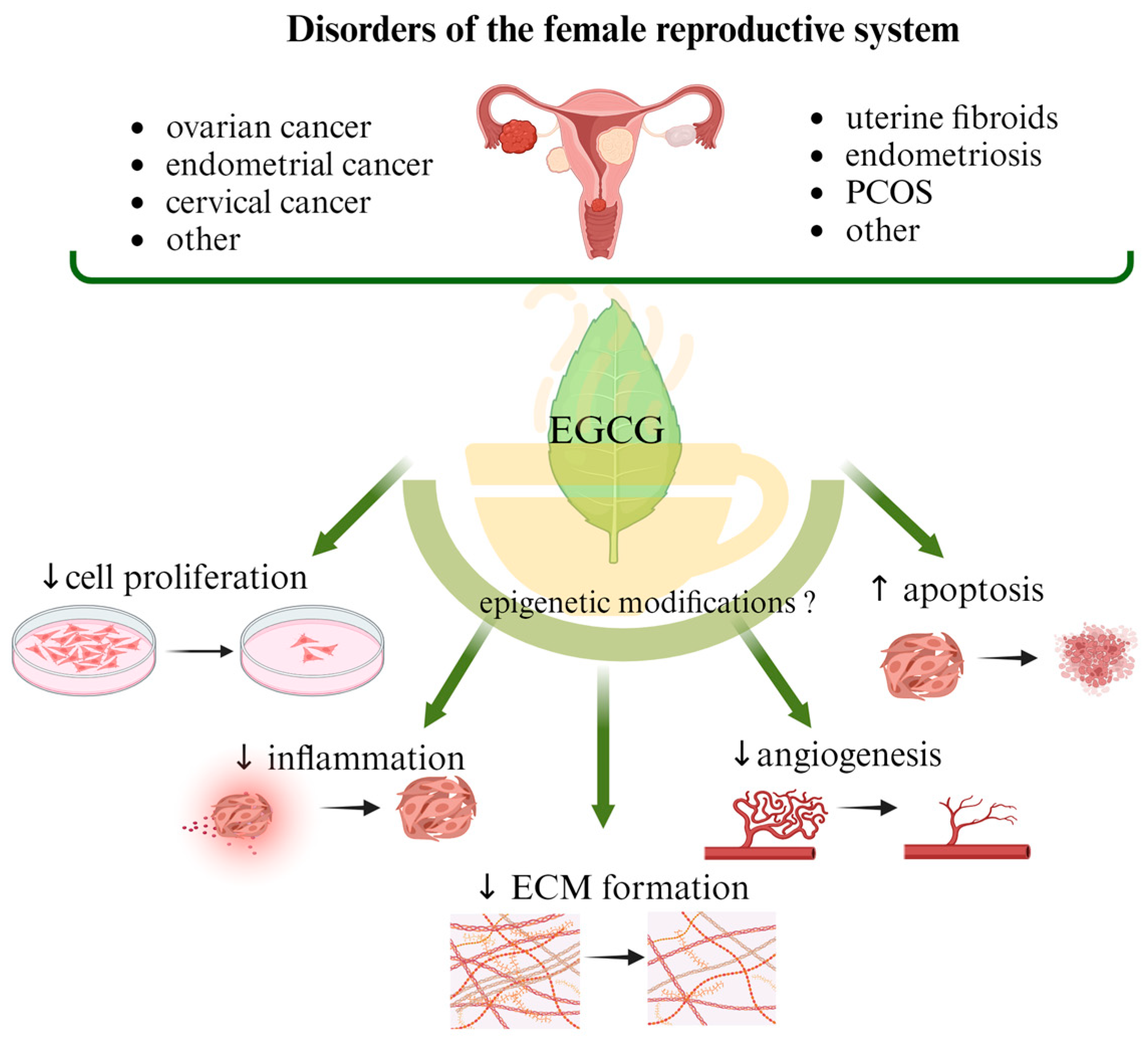 Nutrients 16 00559 g002