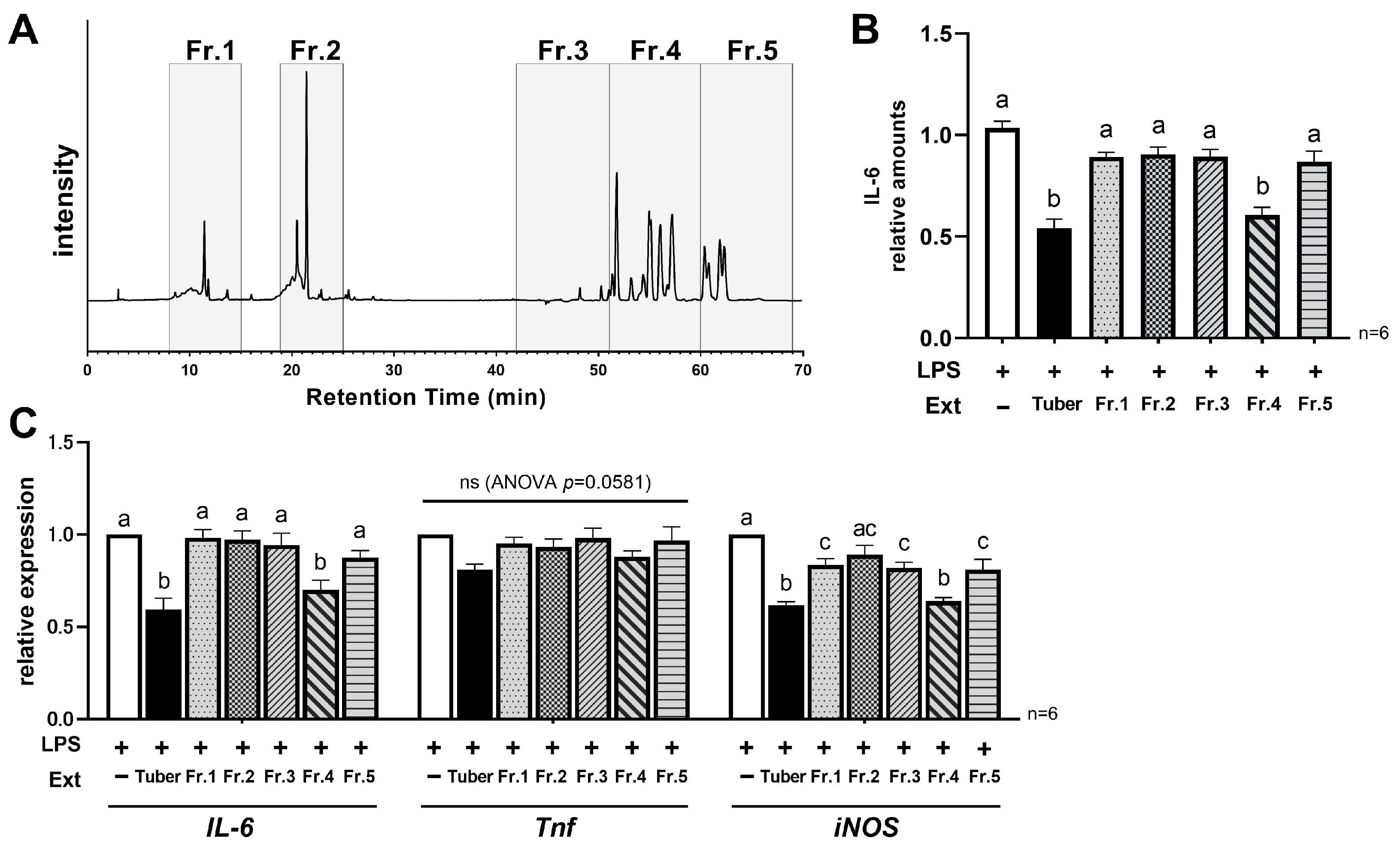 Nutrients 16 00563 g004 Nutrients 16 00563 g004