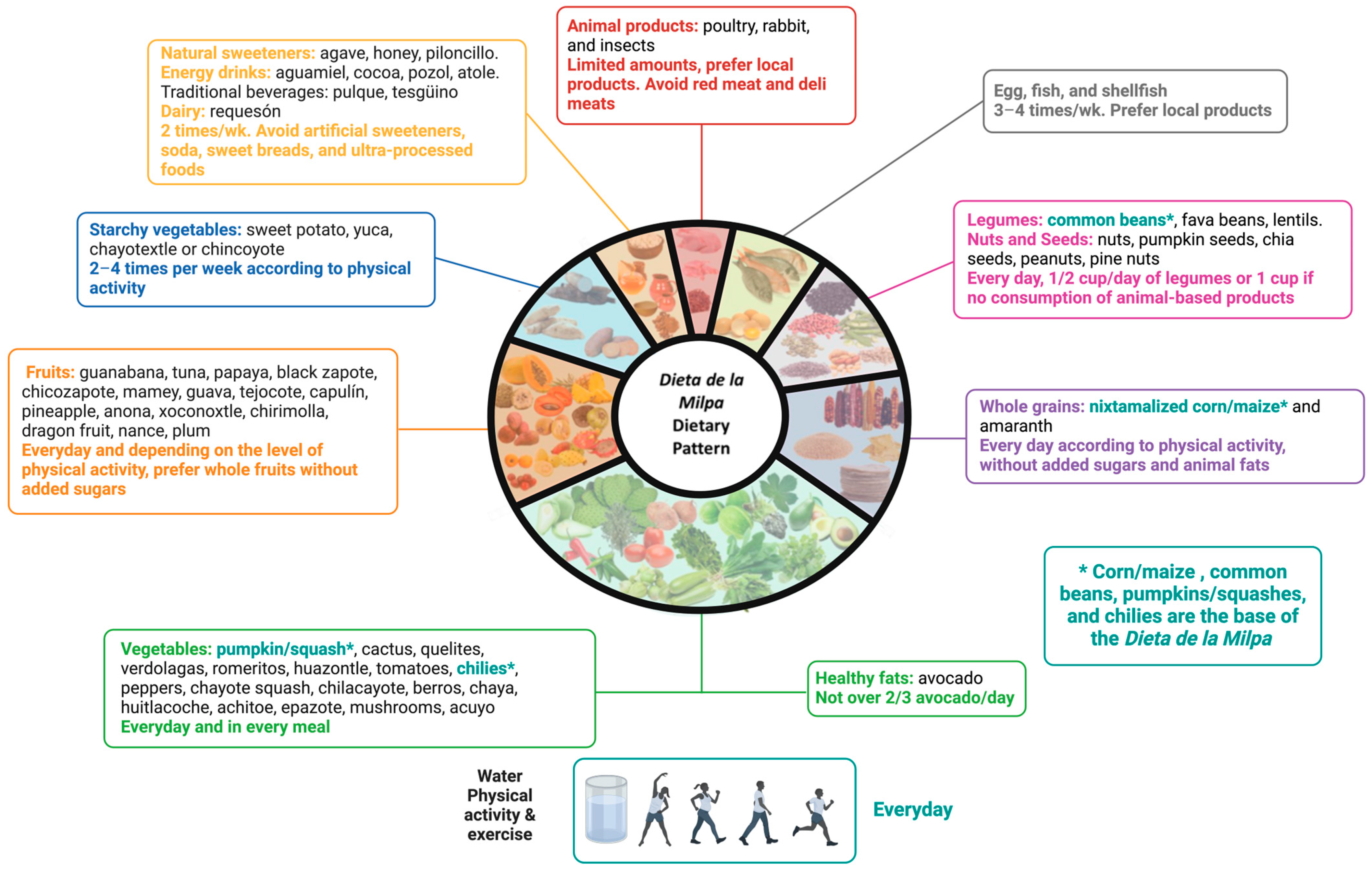 Nutrients 16 00574 g001 Nutrients 16 00574 g001