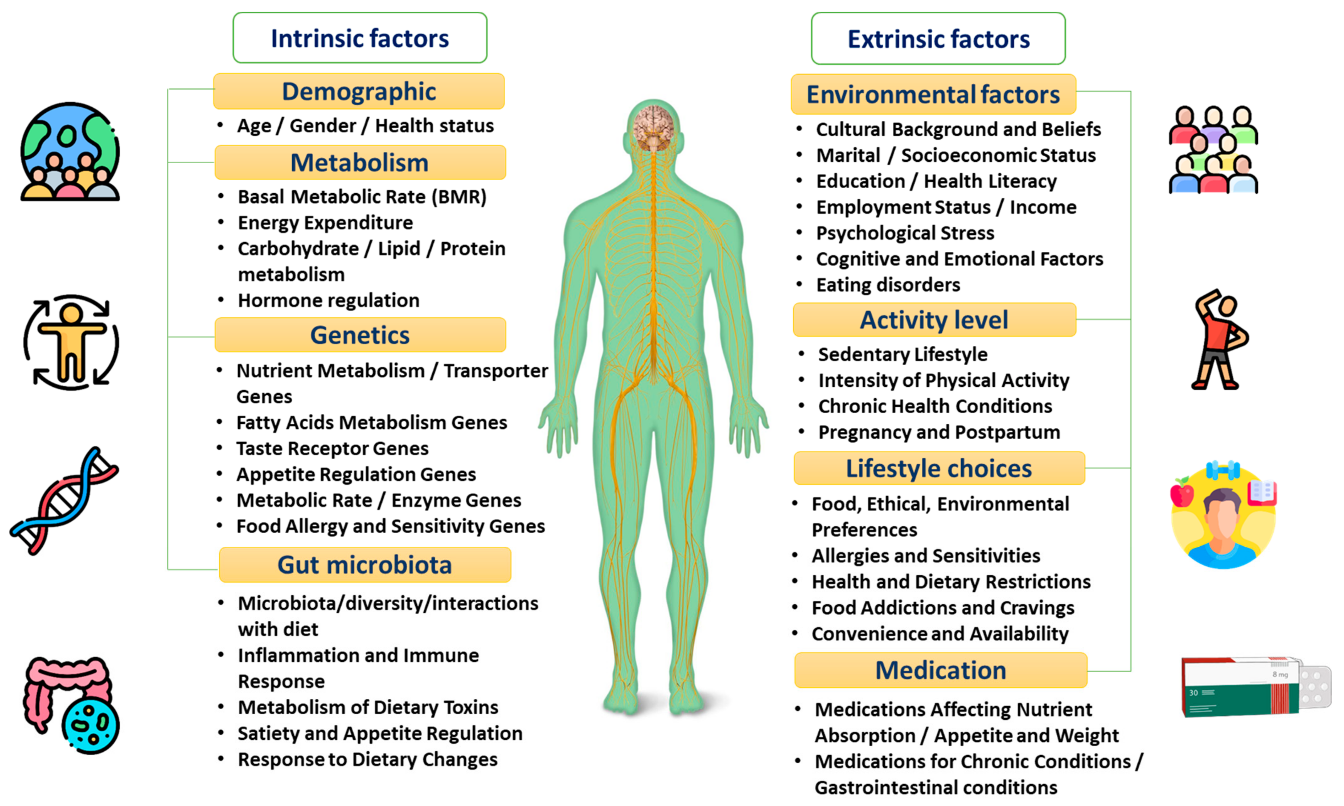 Nutrients 16 00581 g001