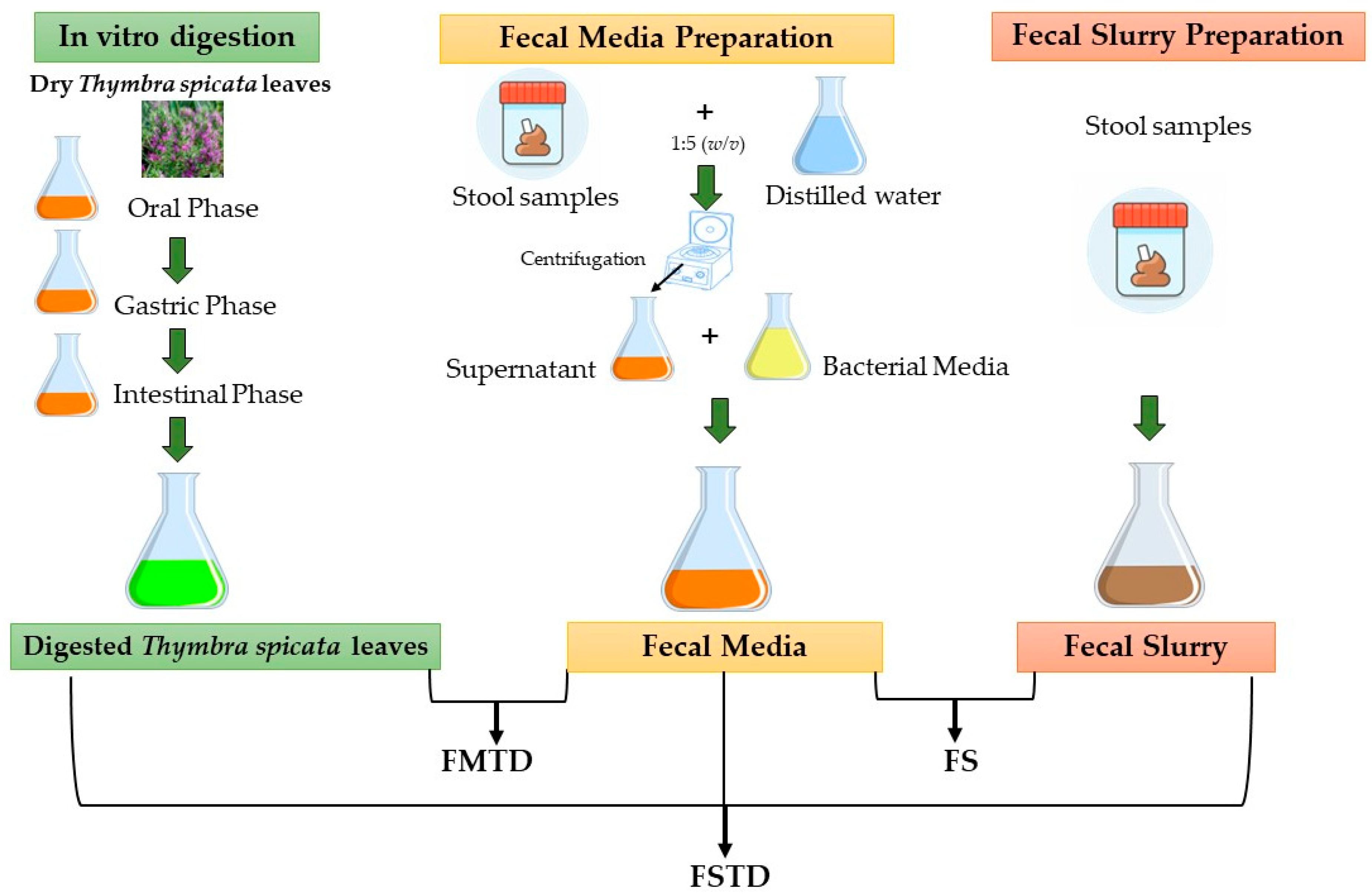 Nutrients 16 00588 g001