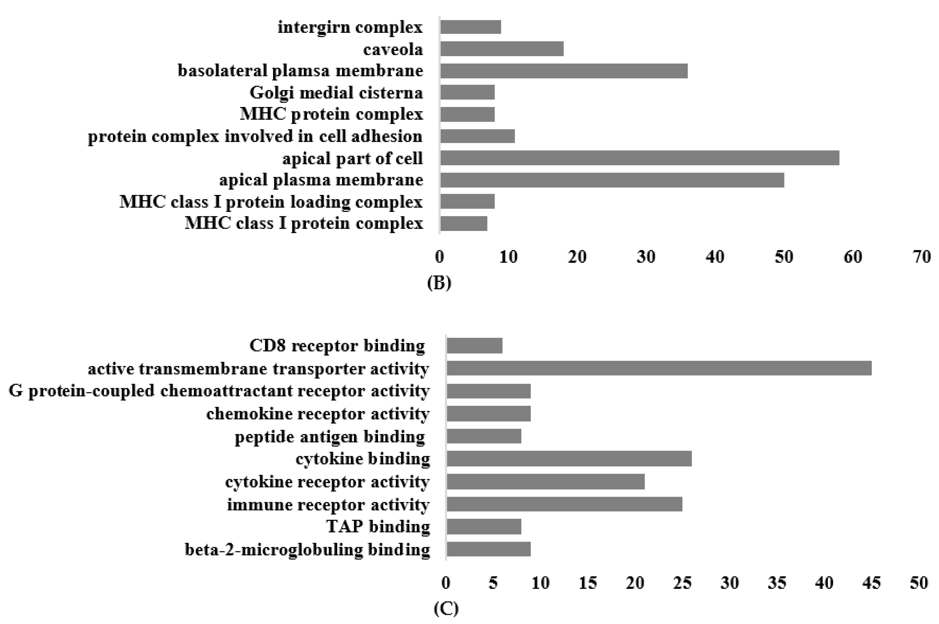Nutrients 16 00597 g006b