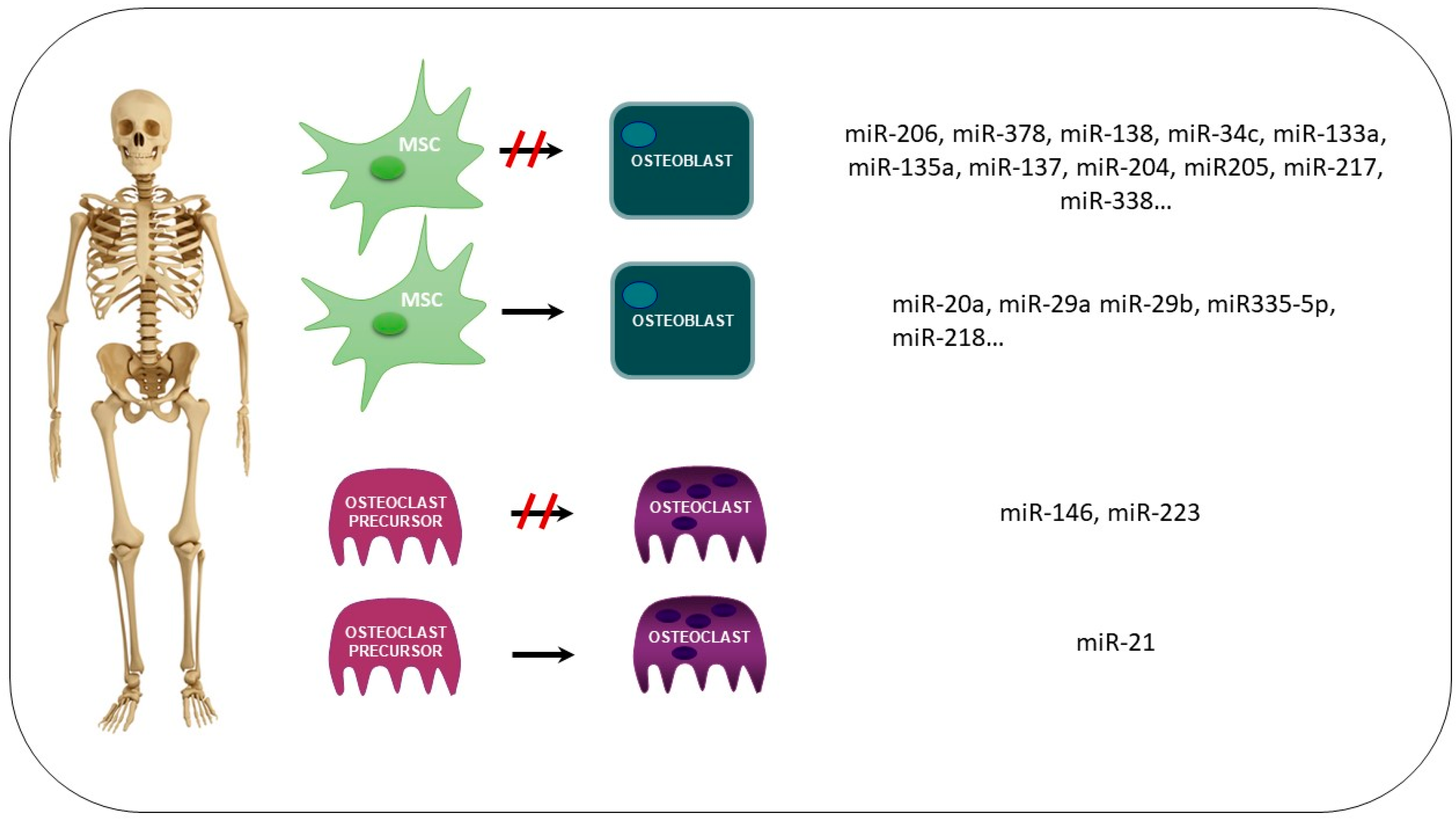 Nutrients 16 00605 g001