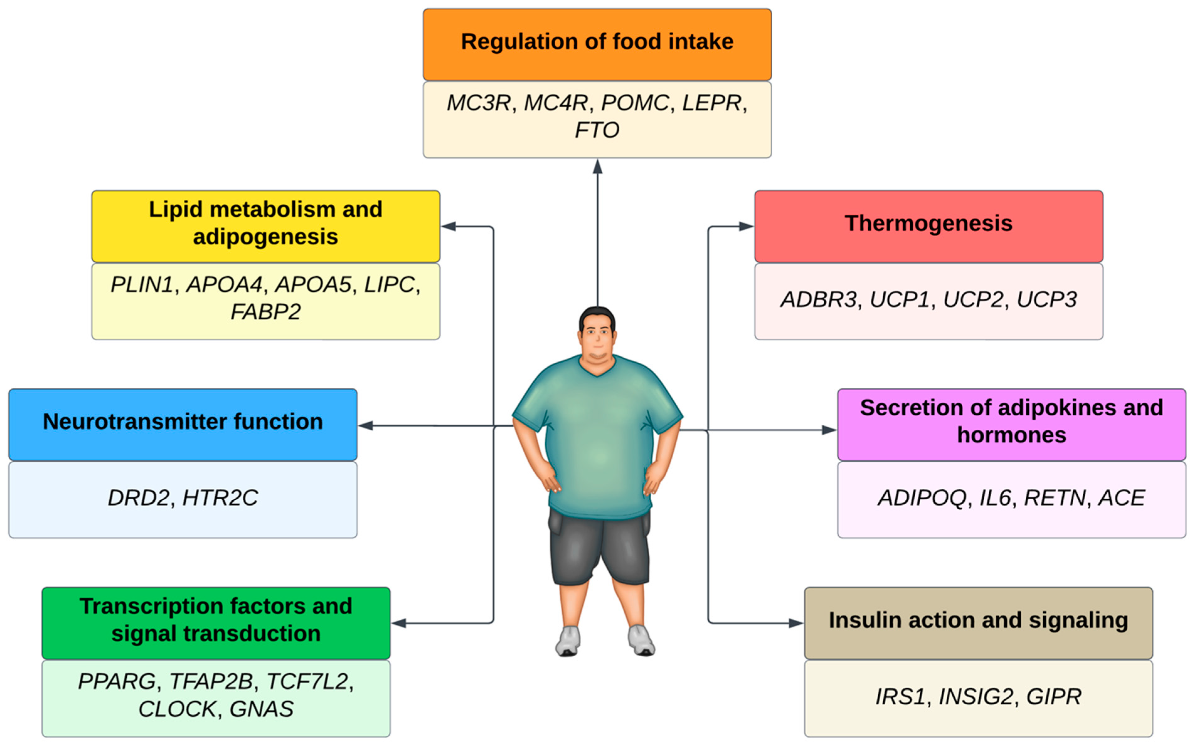 Nutrients 16 00607 g001 Nutrients 16 00607 g001
