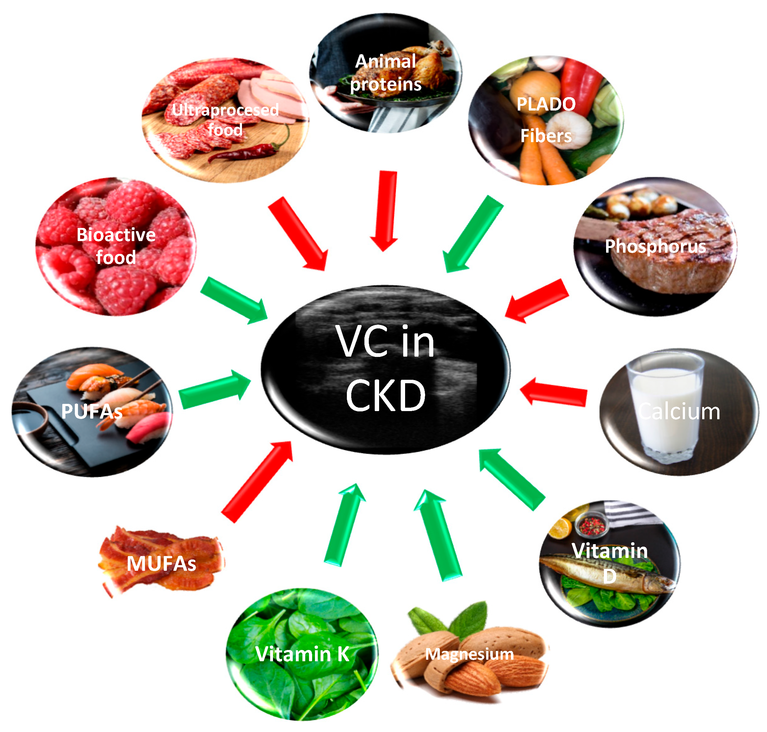 Nutrients 16 00617 g001