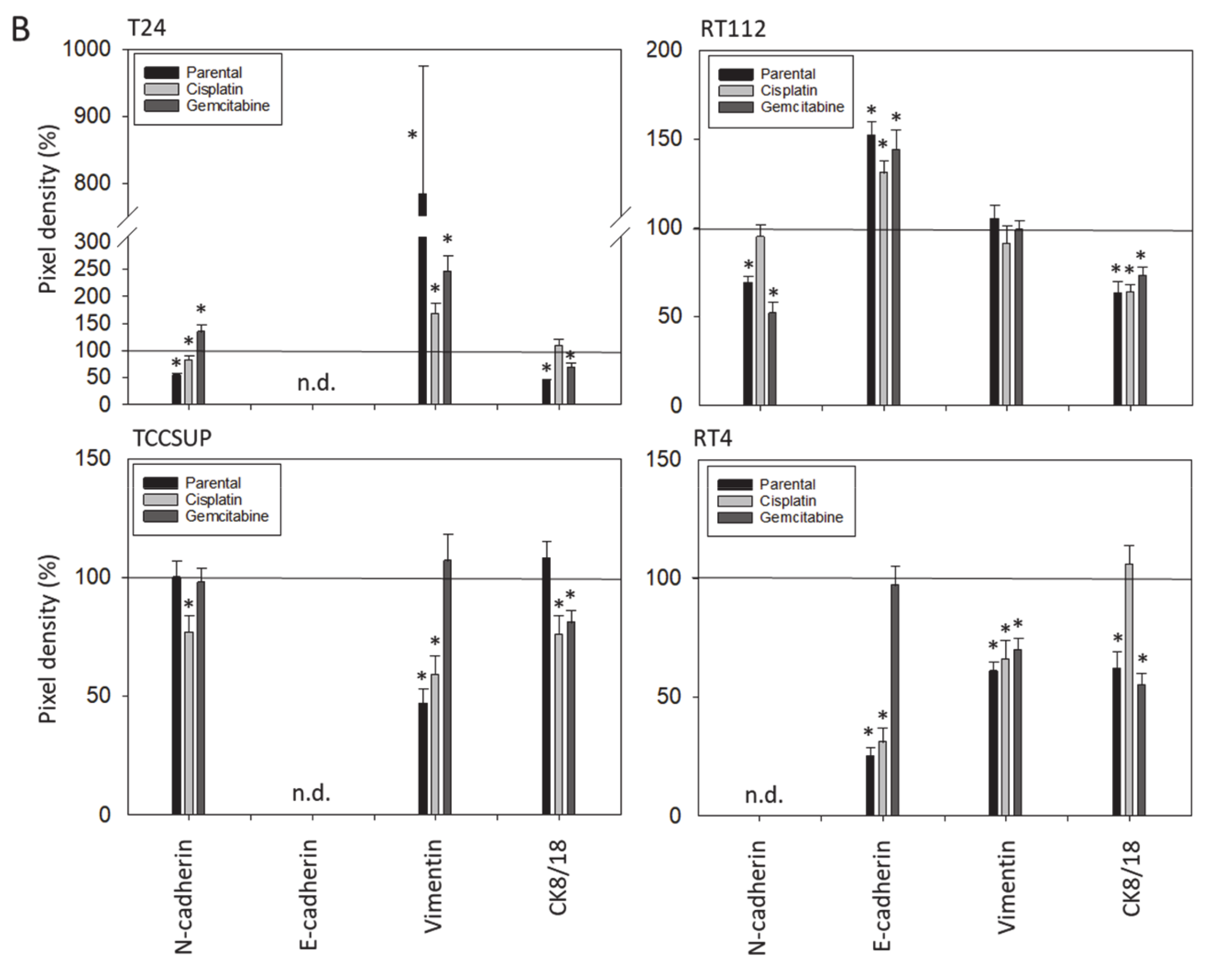 Nutrients 16 00623 g005b Nutrients 16 00623 g005b