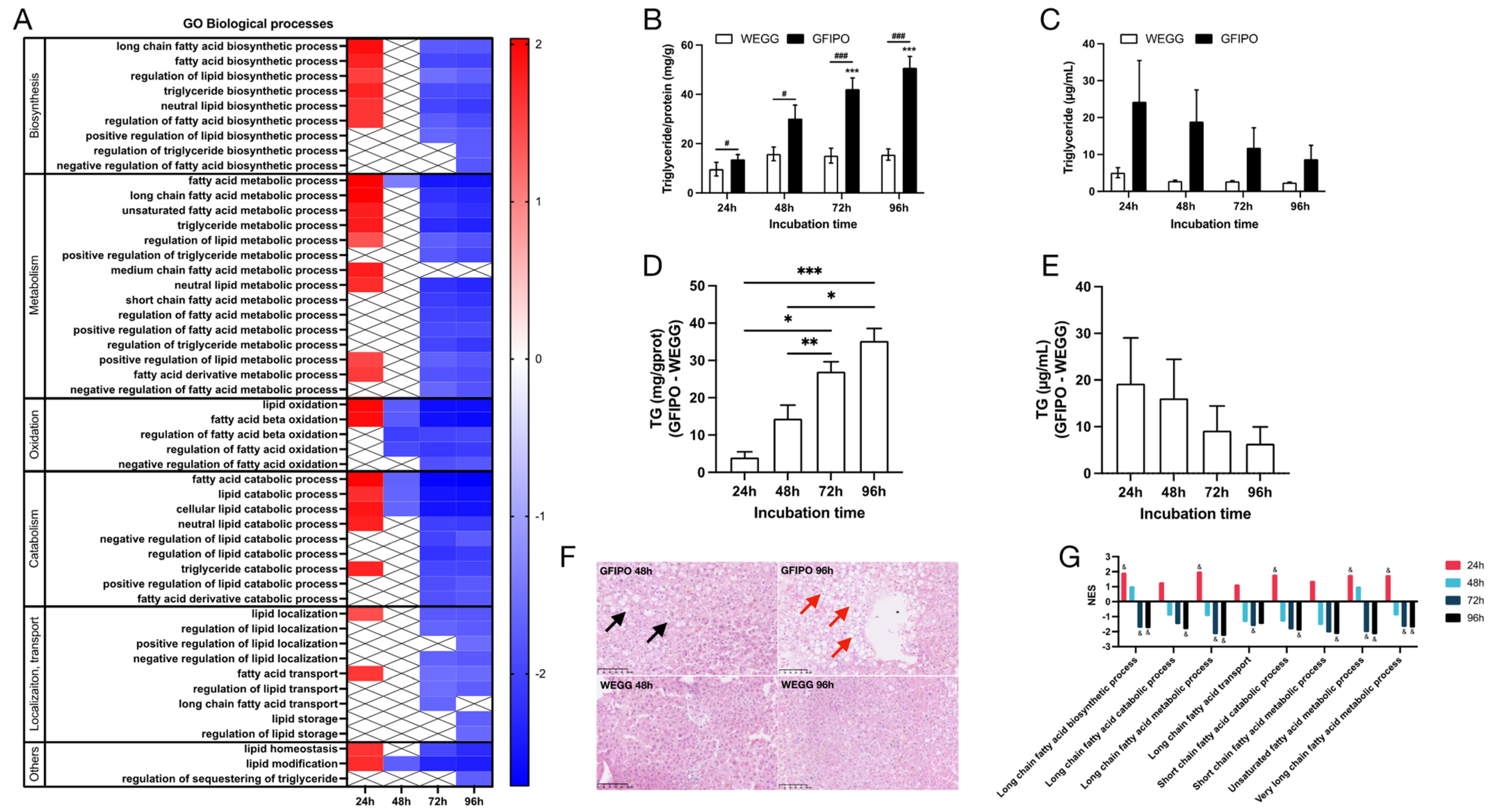 Nutrients 16 00626 g005