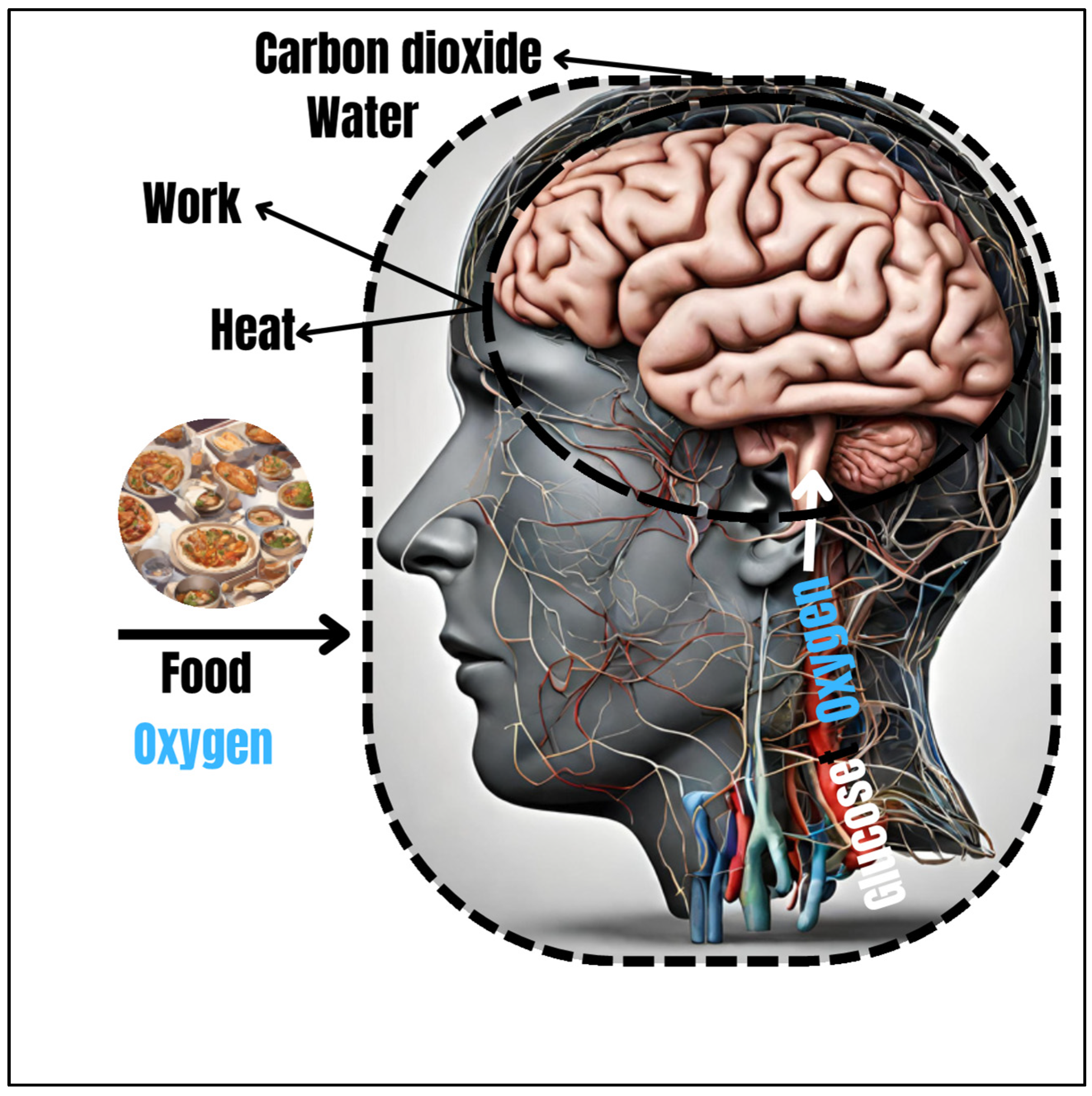 Nutrients 16 00631 g002