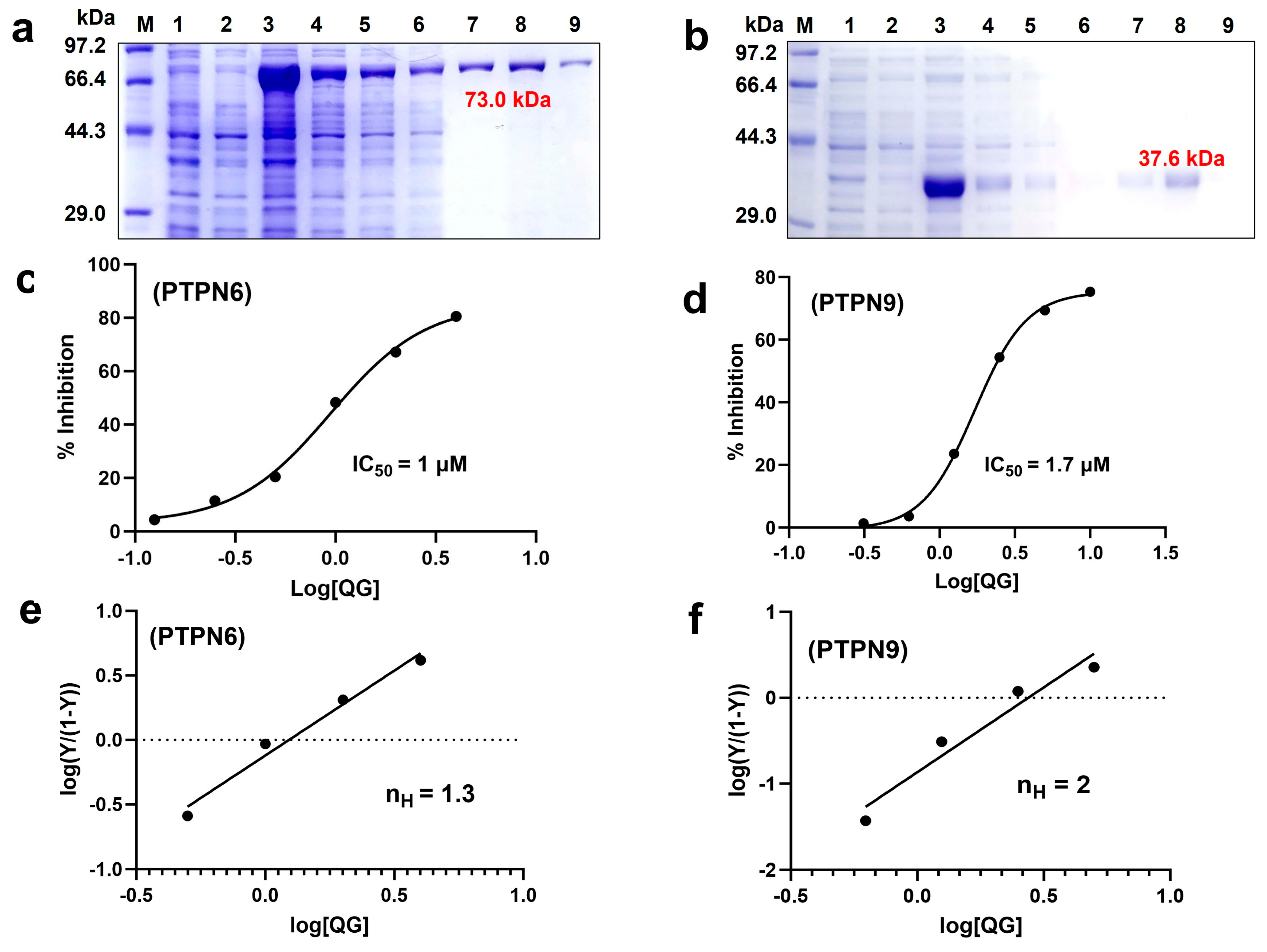 Nutrients 16 00647 g002