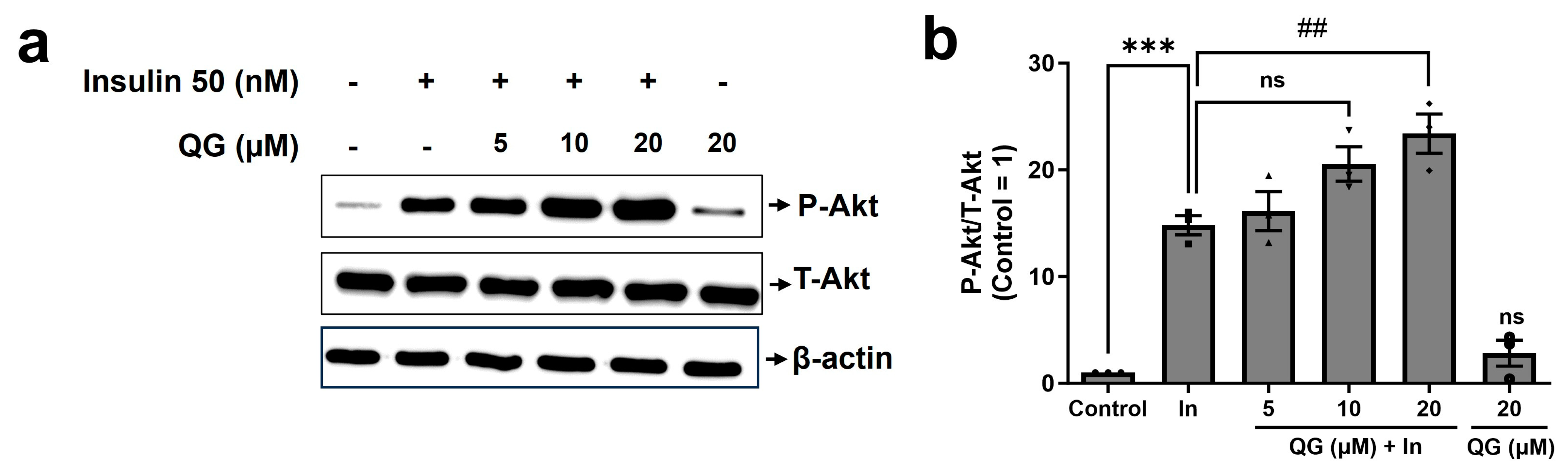 Nutrients 16 00647 g005