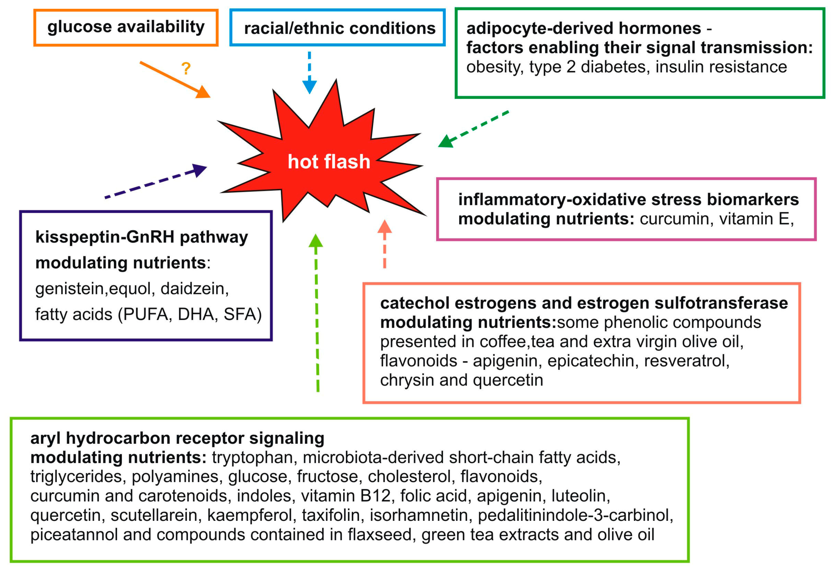 Nutrients 16 00655 g001