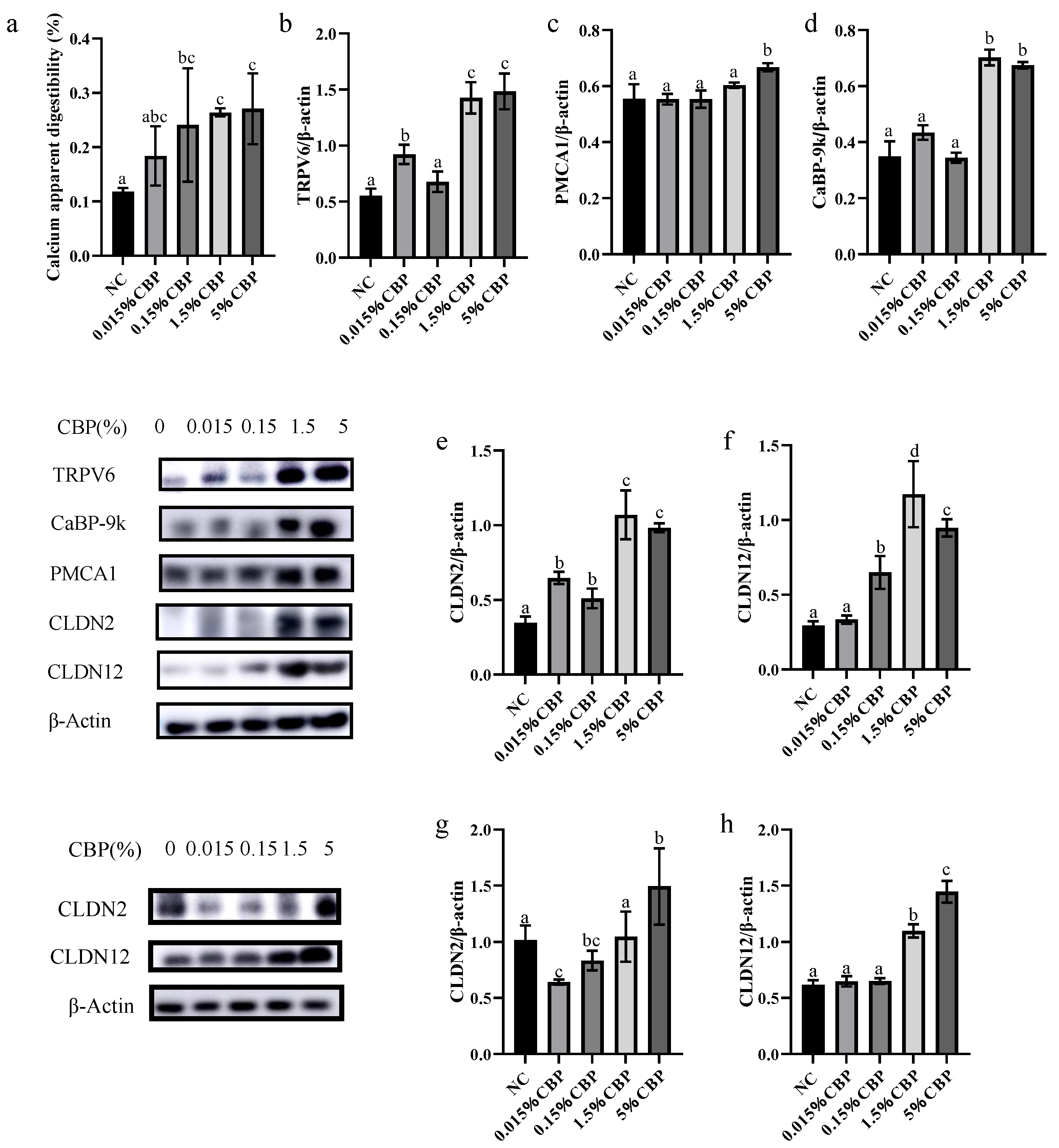 Nutrients 16 00664 g005
