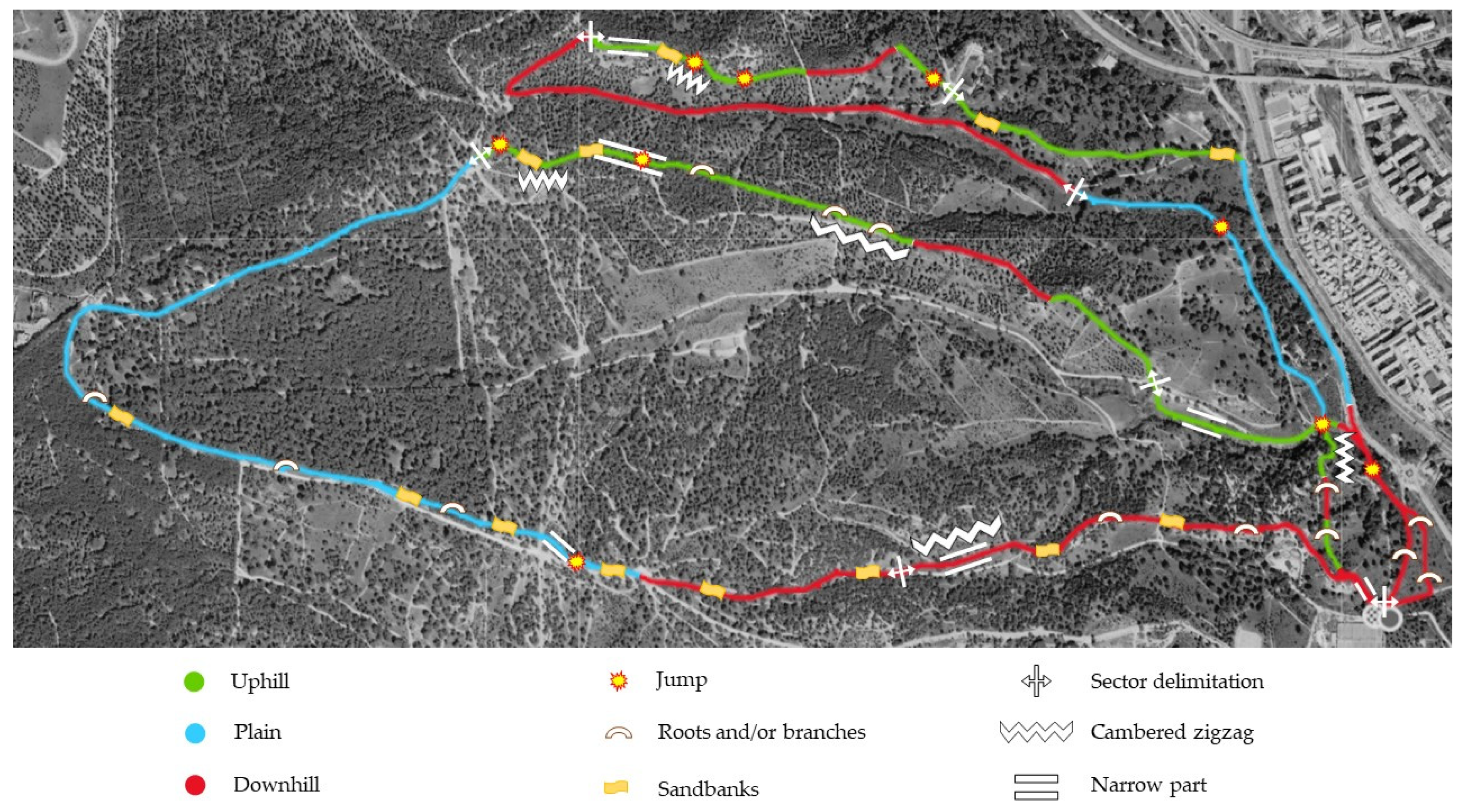 Nutrients 16 00668 g002