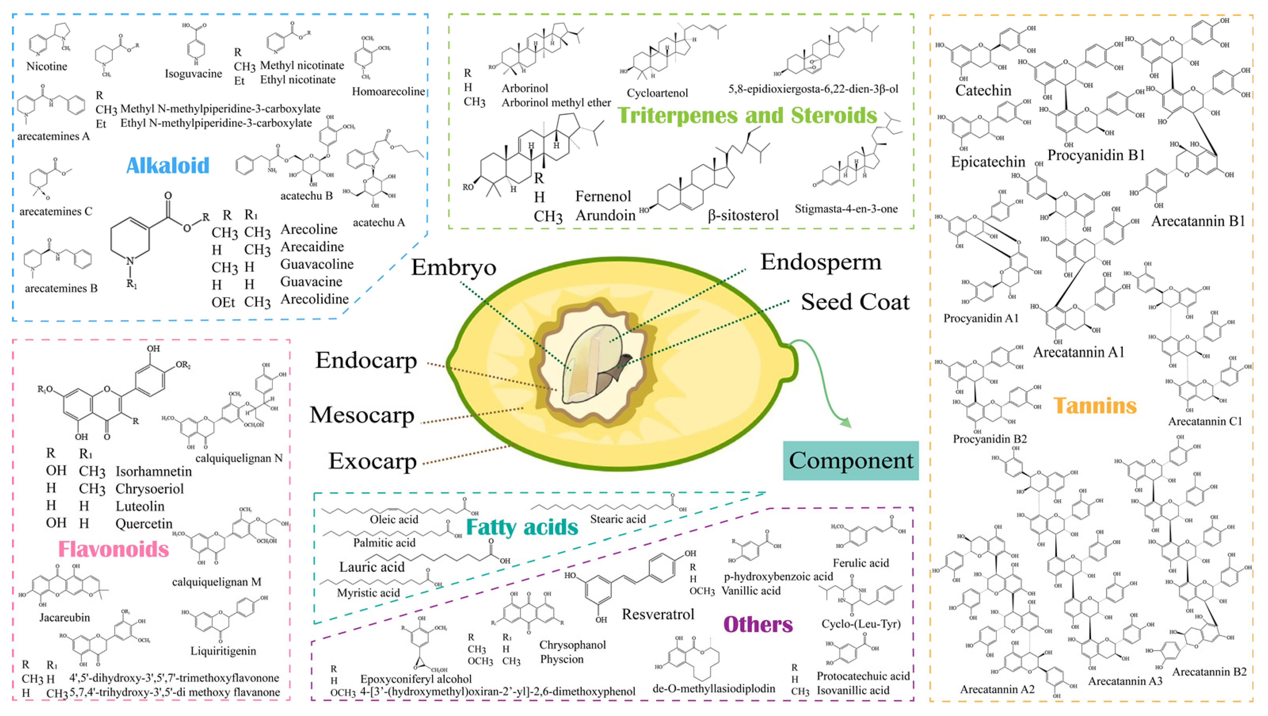Nutrients 16 00695 g001