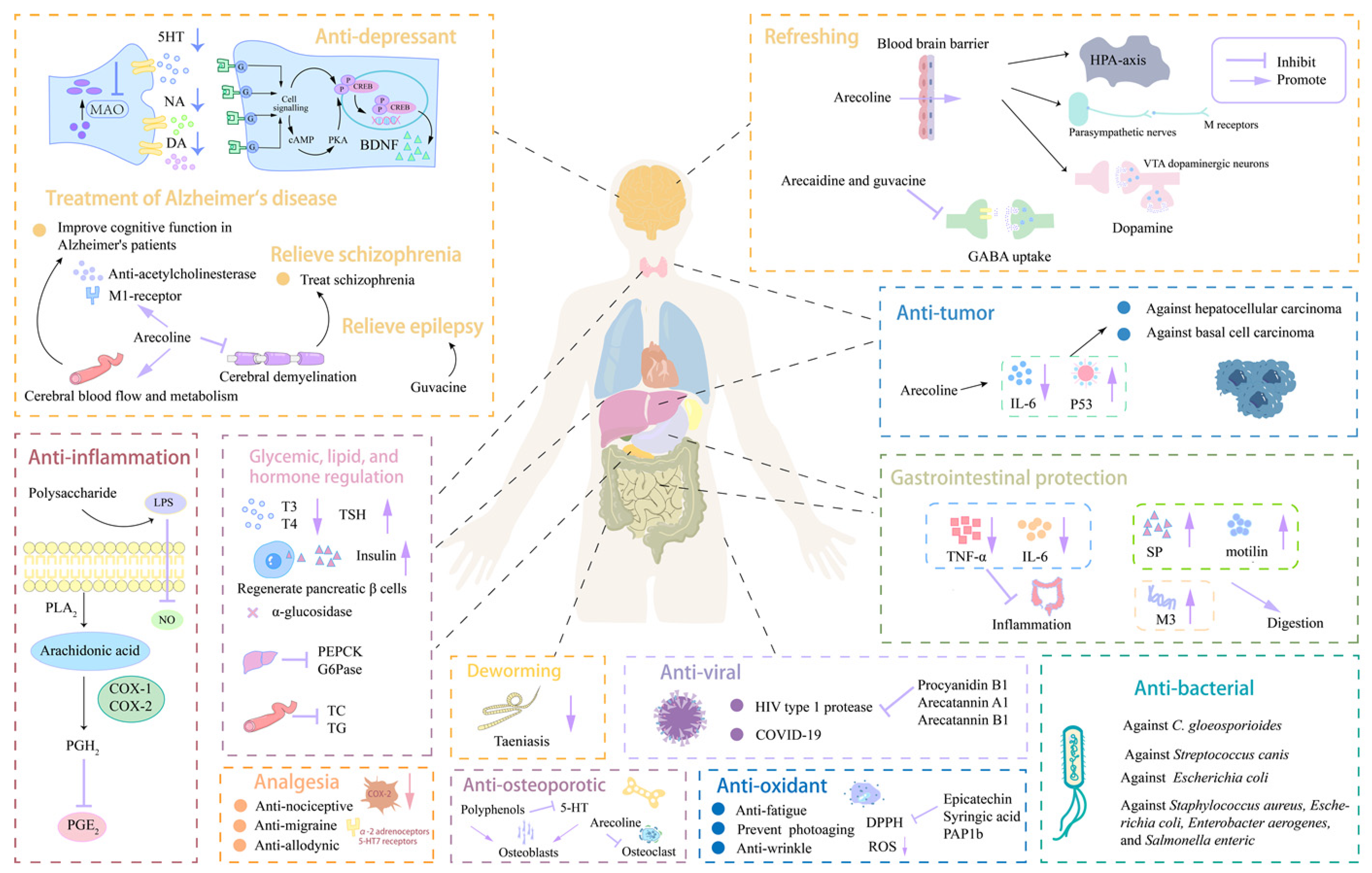 Nutrients 16 00695 g002