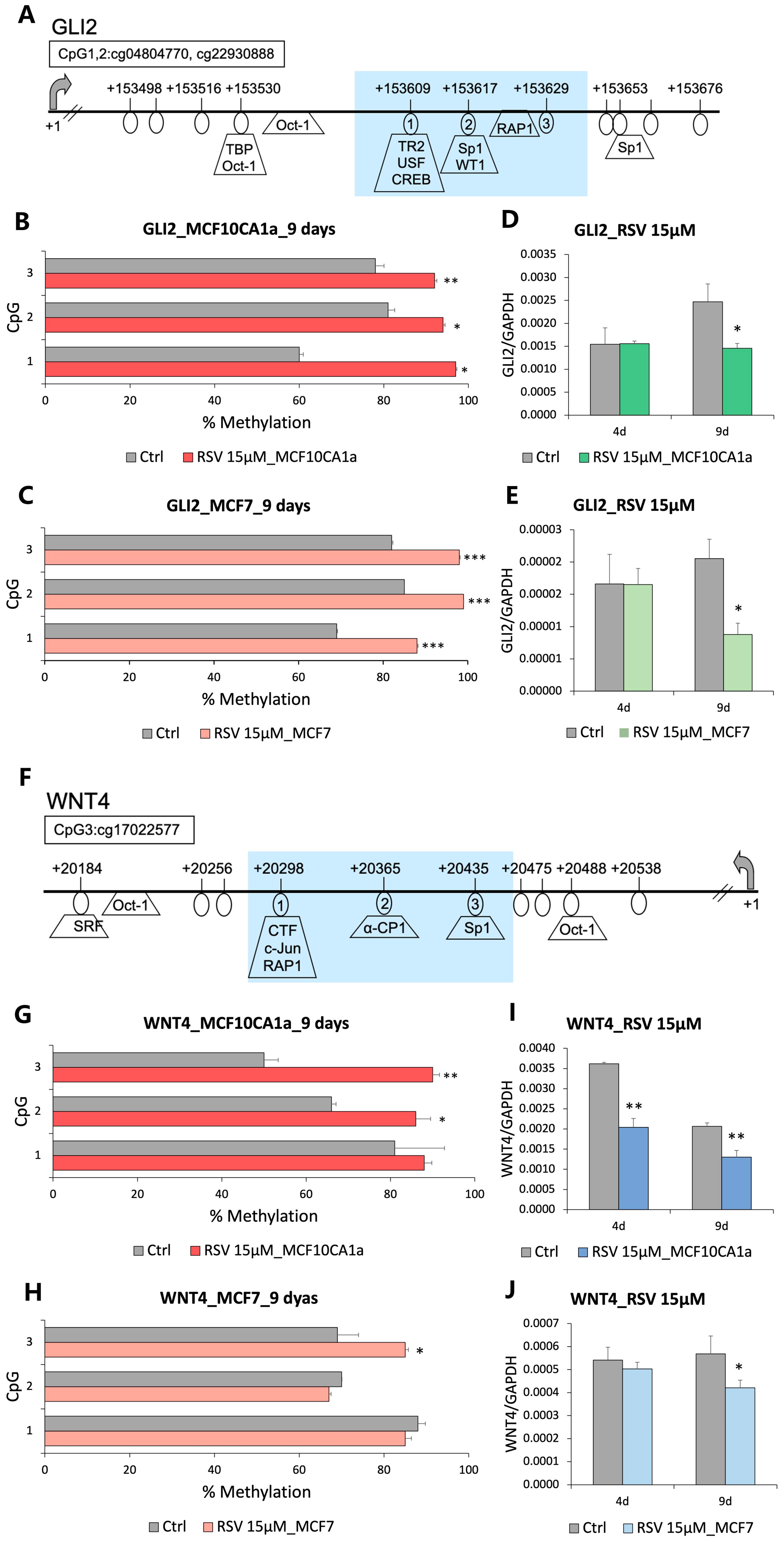 Nutrients 16 00699 g002