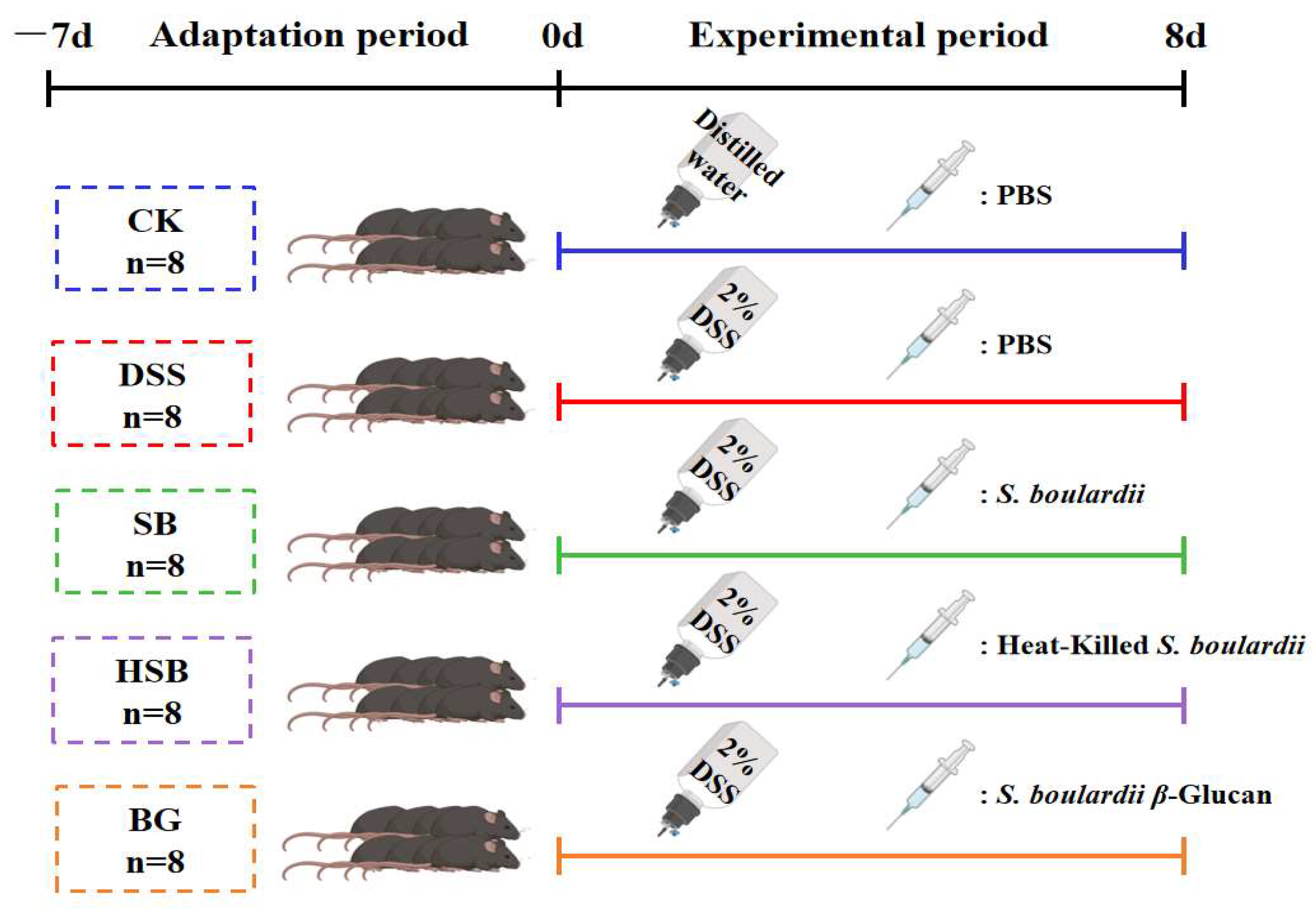 Nutrients 16 00702 g001