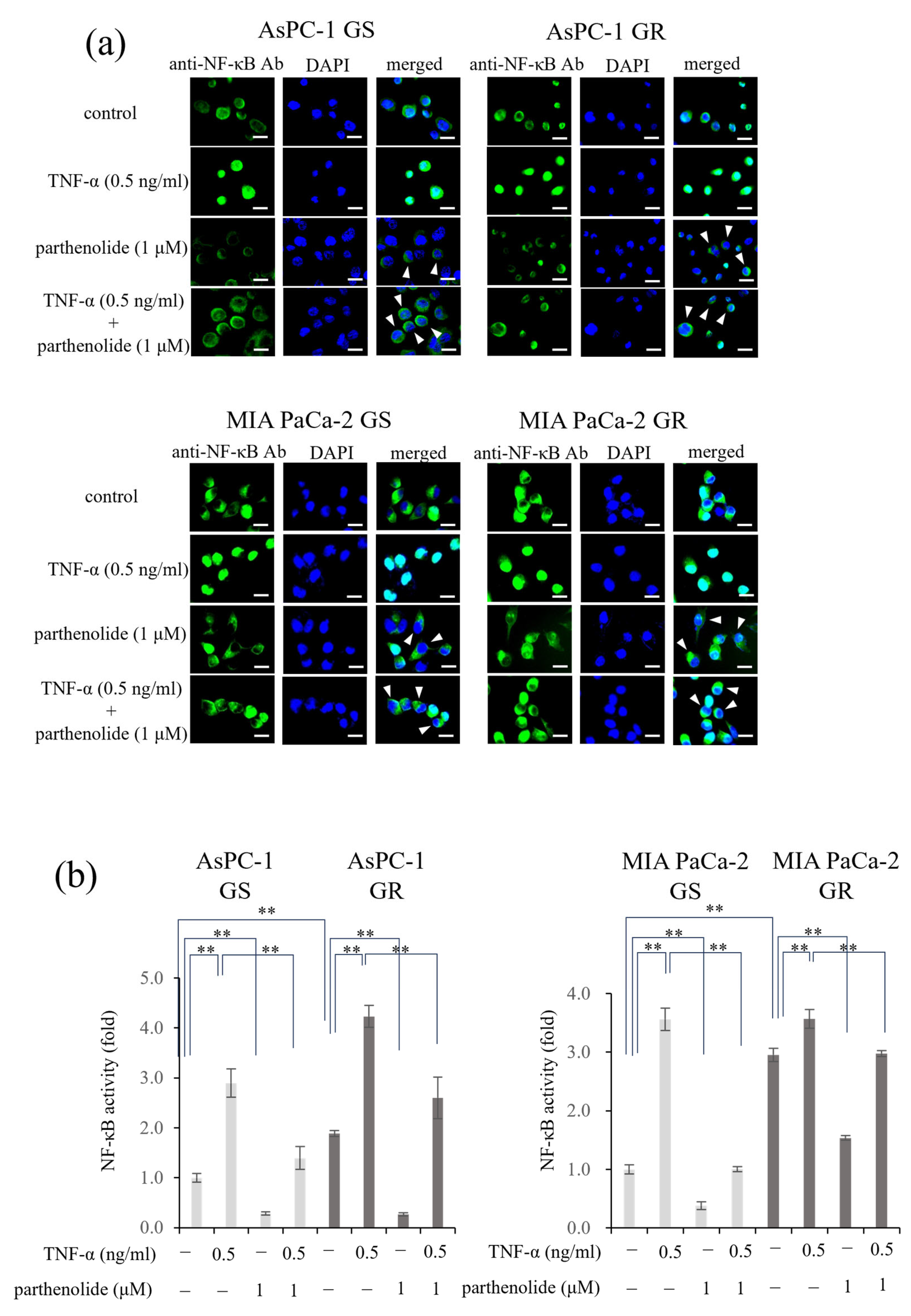 Nutrients 16 00705 g002