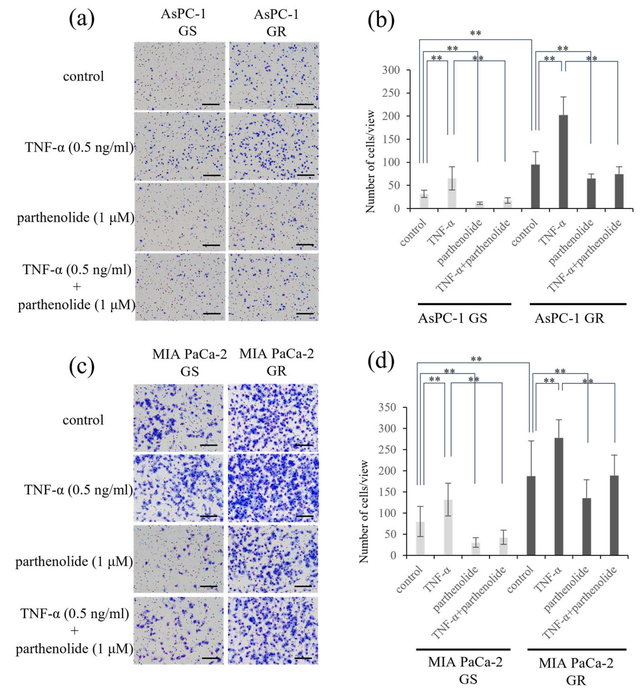 Nutrients 16 00705 g003